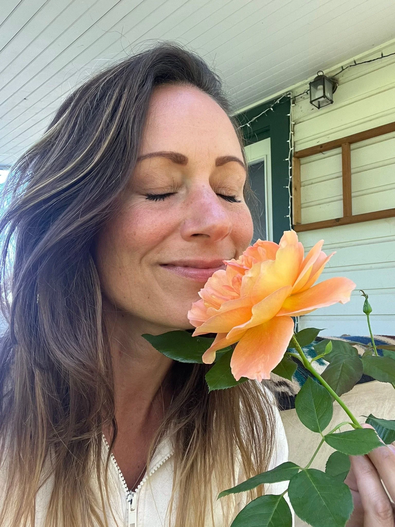 Which one should be my new profile photo? Please vote with your &ldquo;likes&rdquo; so it&rsquo;s easier to count. 
There&rsquo;s a beautiful story behind this rose. It may be one of the last ones of the season for this gorgeous rose bush I bought th