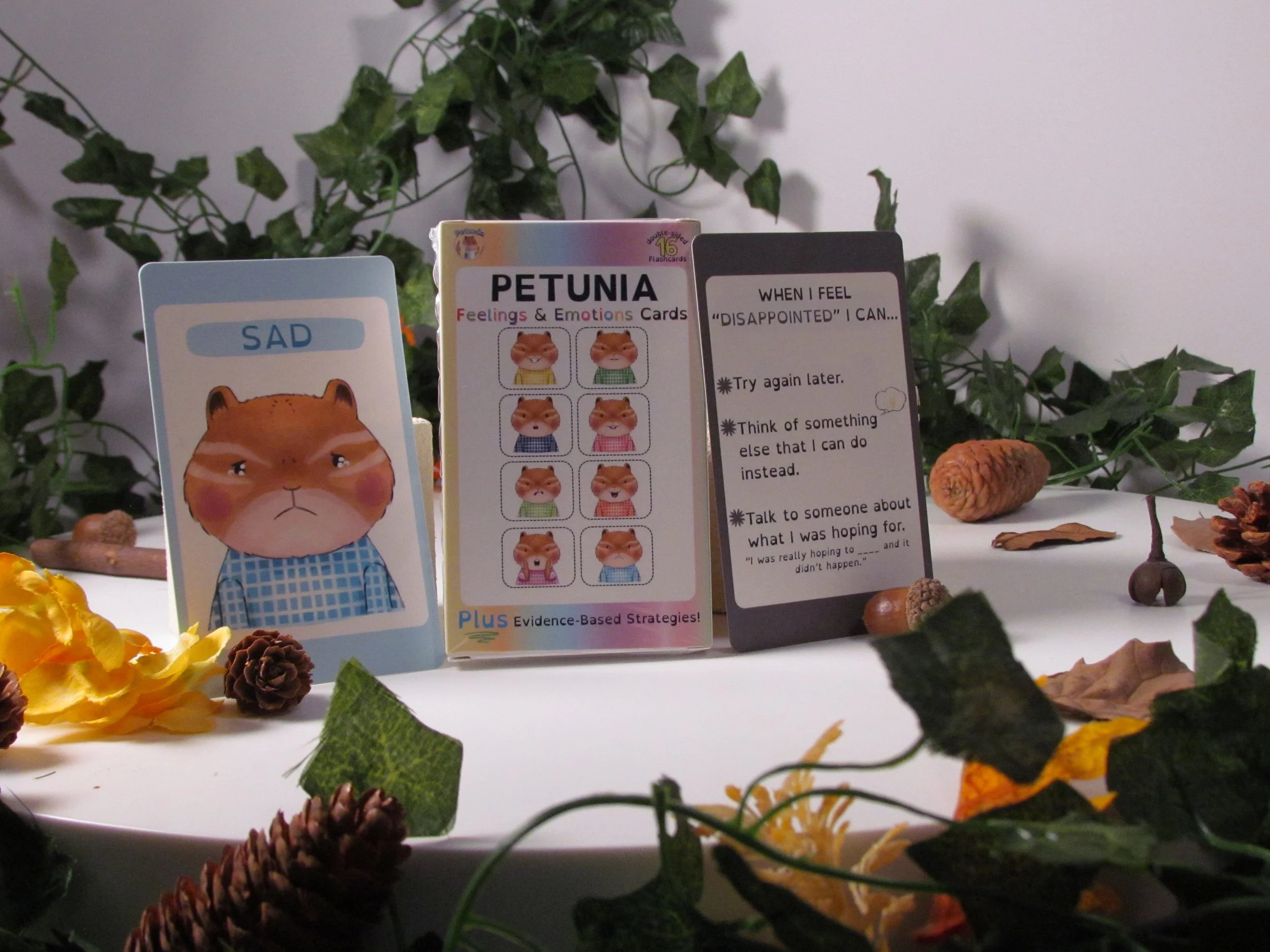 Petunia The Chipmunk Feelings & Emotions Cards