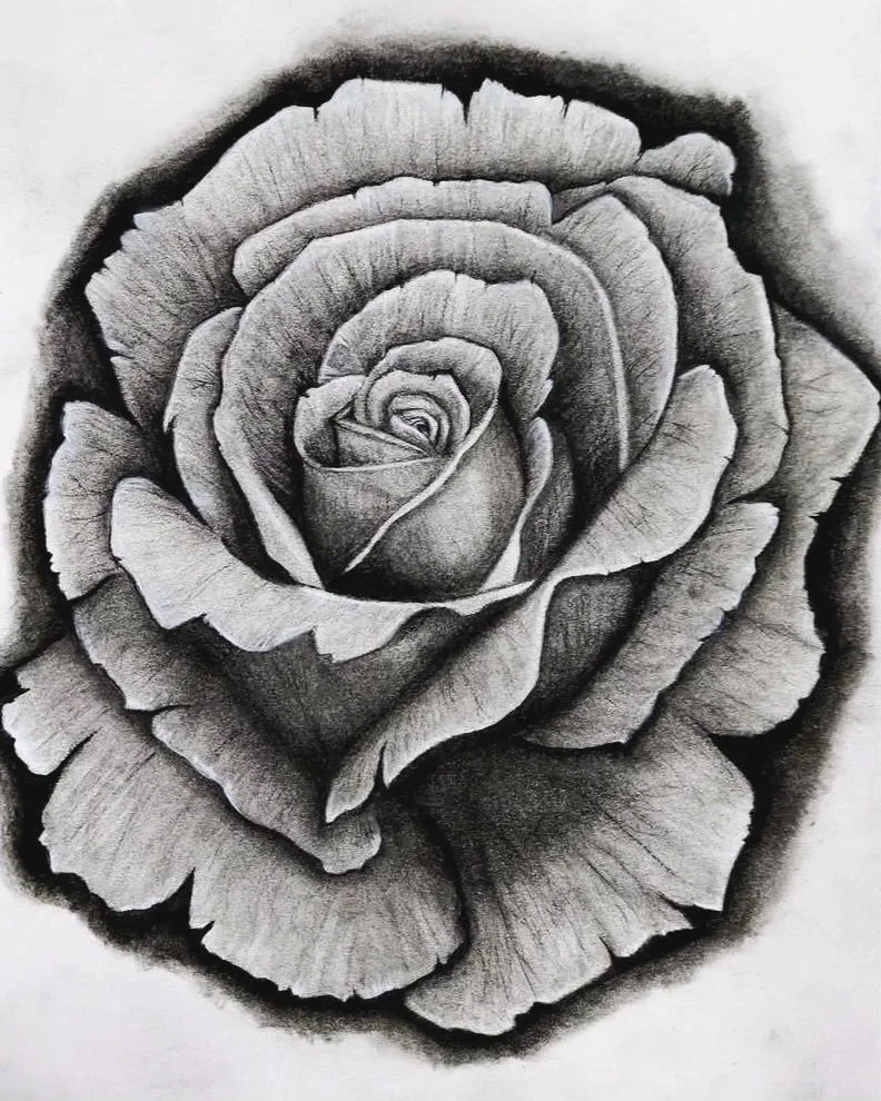Realism Charcoal Rose Study