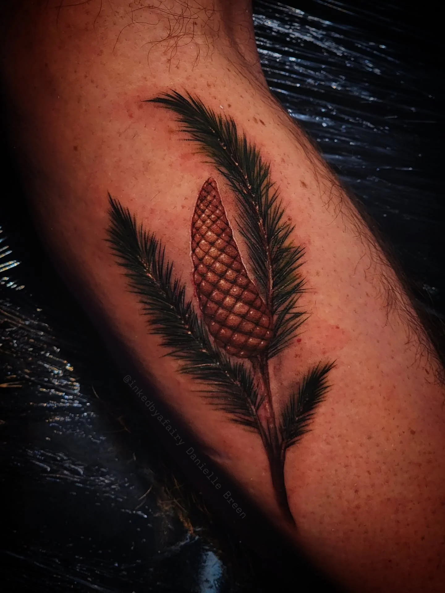 Jack Pine species ☆  color realism 
📍@magic.rabbit.tattoo in #mesaarizona
3.5 hour session from today! I love nature tattoos, and color realism- even though I have been posting a lot of black and grey 
My books are open for the rest of the year for 