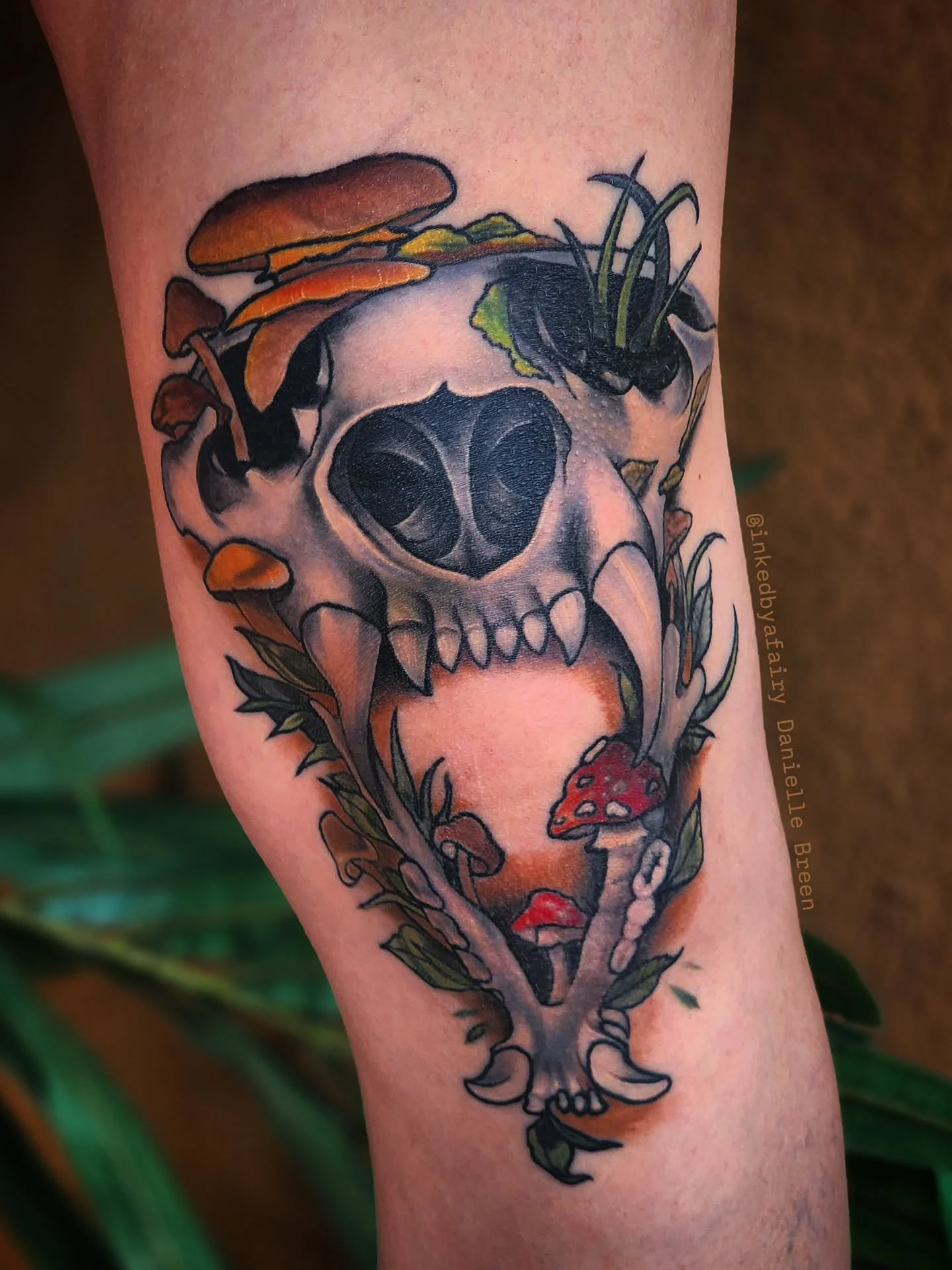Finally got some crispyyyy healed photos of this tattoo 🫶✨️
Client asked for a NeoTrad style big cat skull with mushrooms and other plants to frame their knee cap. 
This was so much fun to tattoo 😍🫶

📍@magic.rabbit.tattoo in #mesaaz 
Now booking-