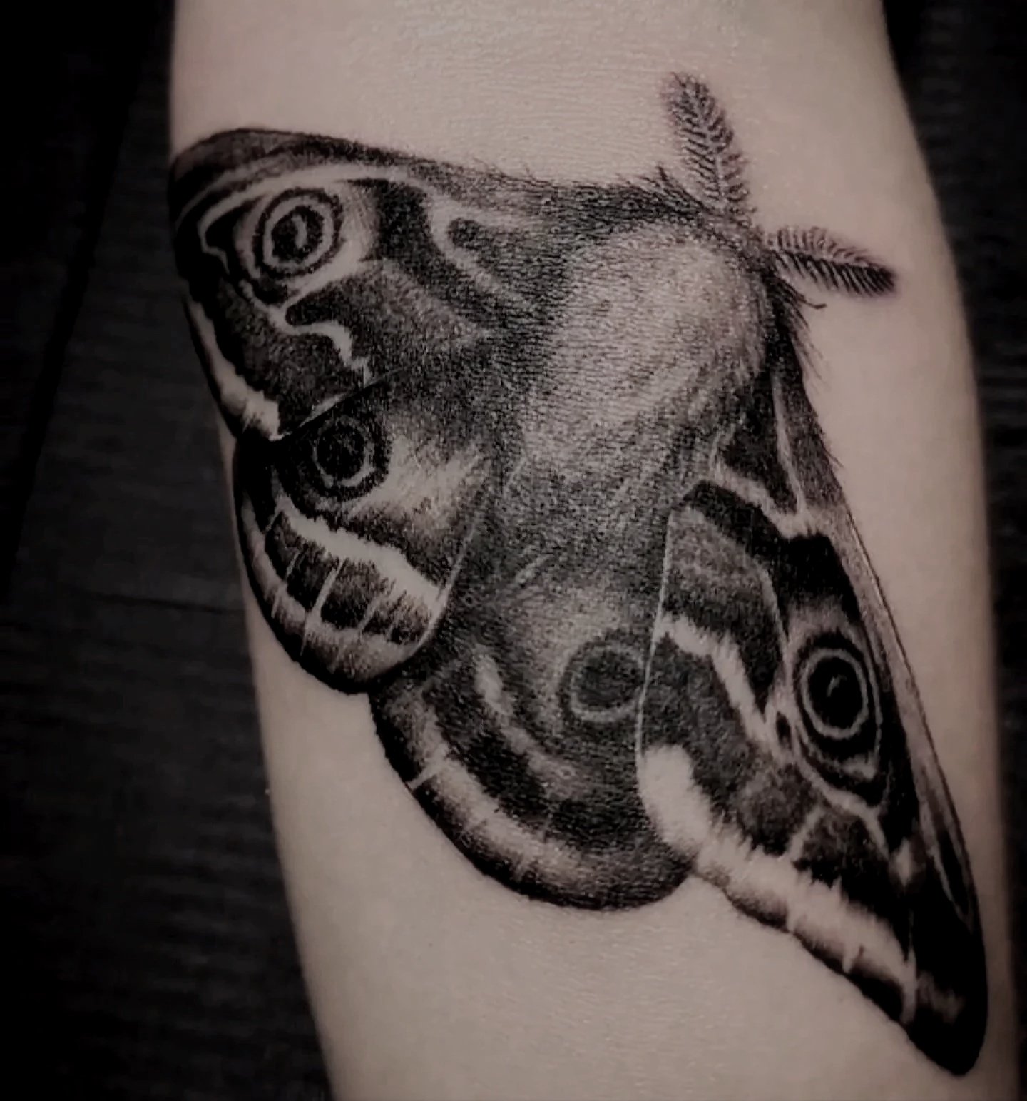 Black and gray realistic moth tattoo on skin with detailed wings and eyes
Tattoo Artist Danielle Breen @InkedByAFairy