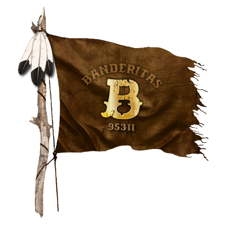 BANDERITAS