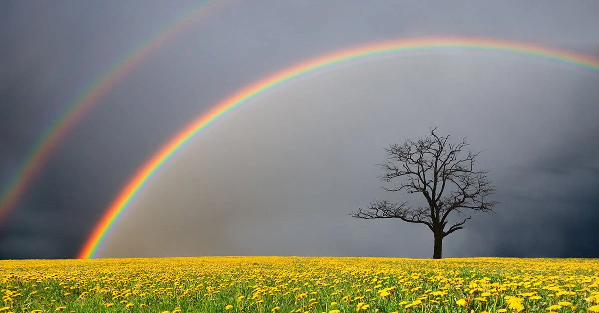 Grief Yoga® Retreat:                      Remember &amp; Rekindle Your Light