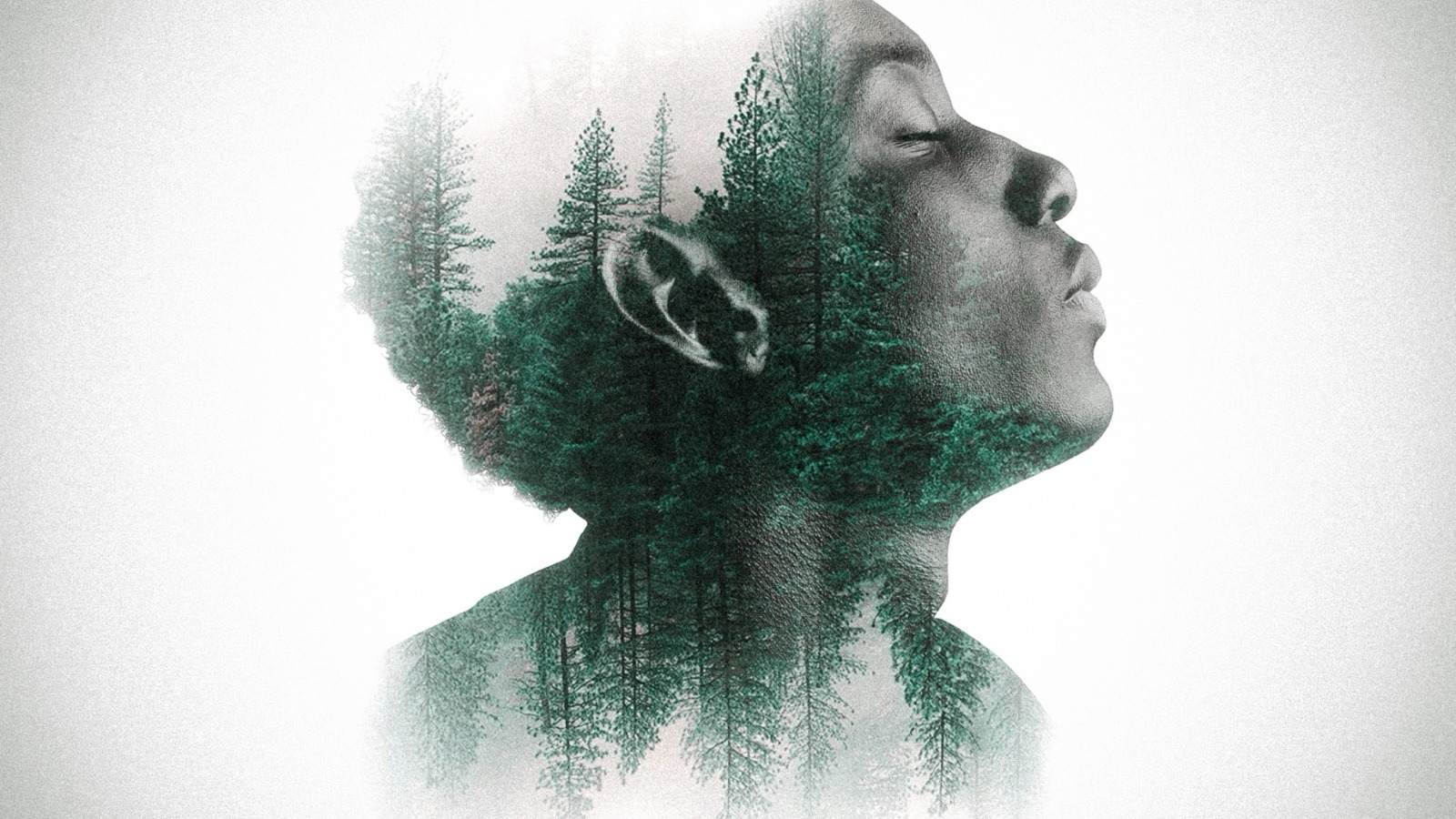 What Does It Mean to Live Your Dream Life and Utilize Your Unique Gifts to Their Full Potential?