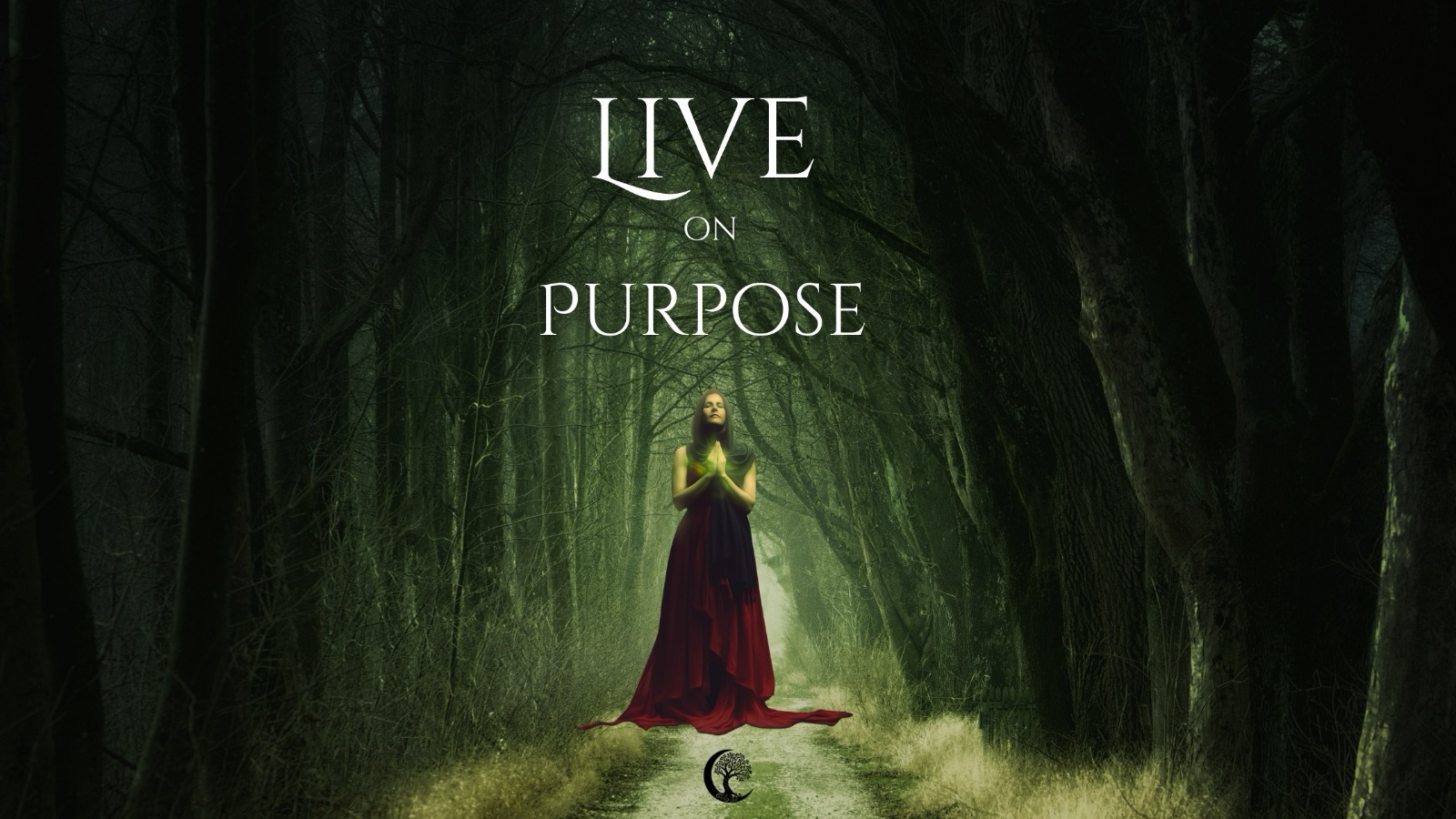 The Power of Intention: A Step-by-Step Guide