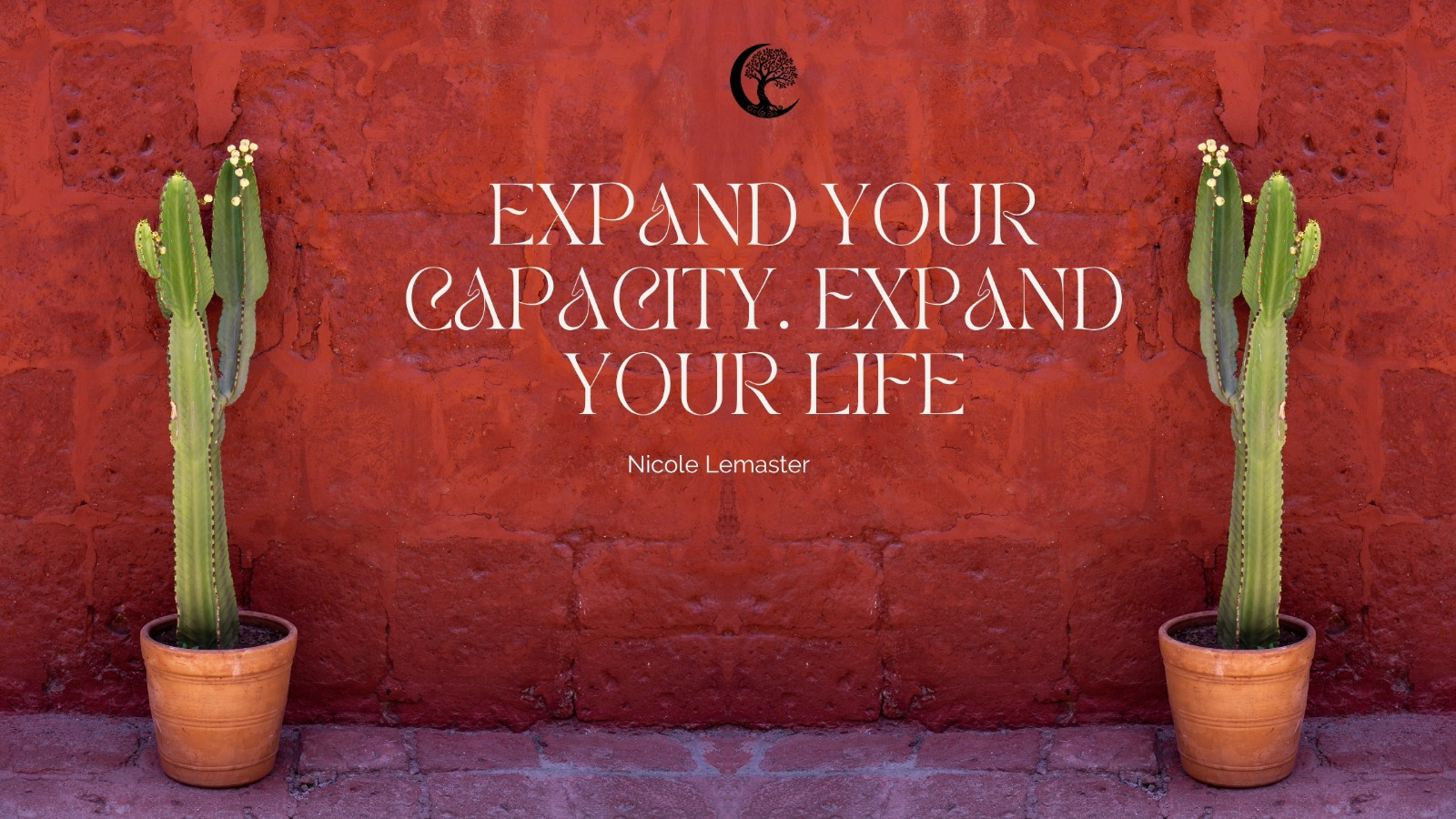 Nervous System Capacity: The Hidden Currency of Leadership