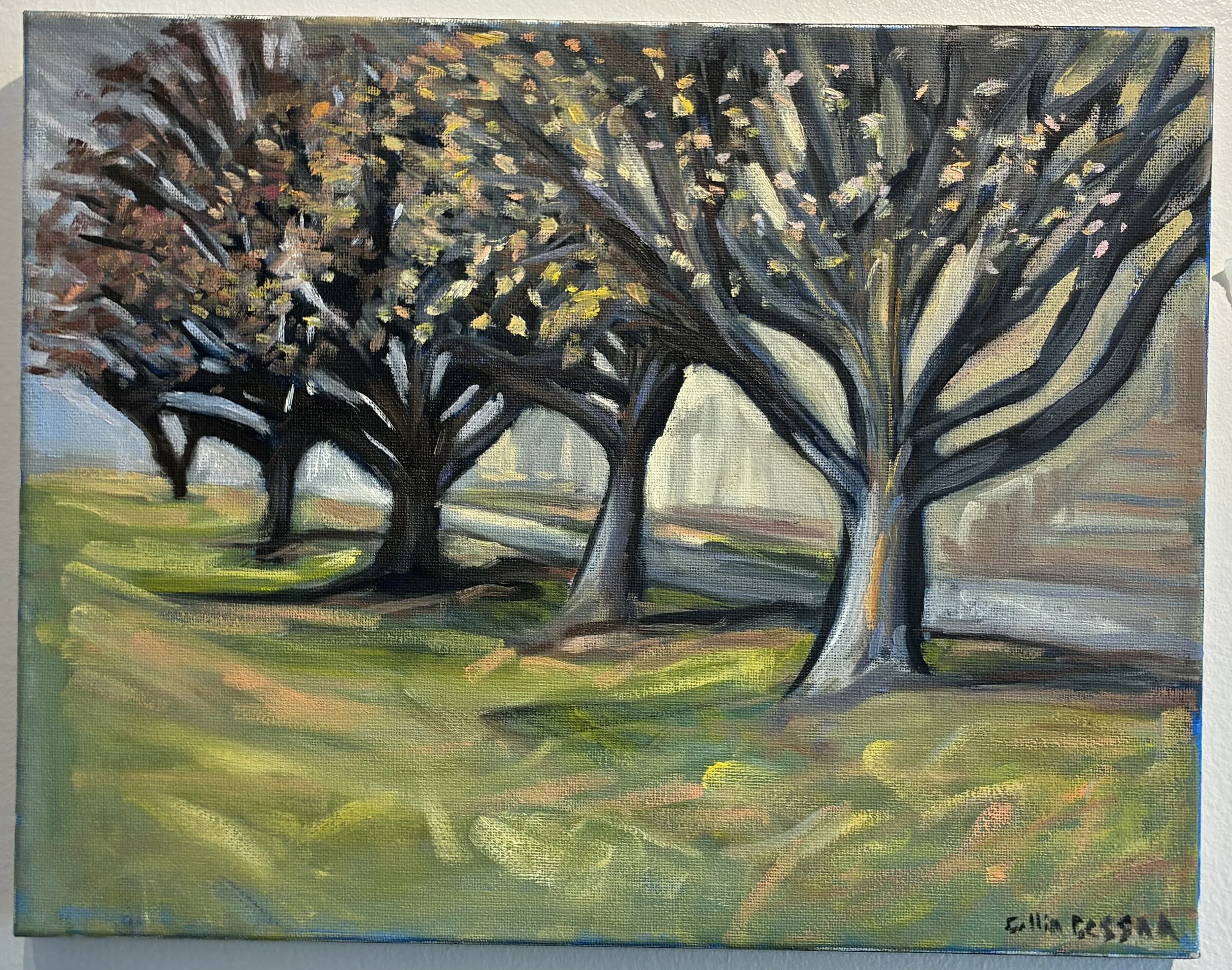 13 ”Spring Blossoms" by Collin Cessna
