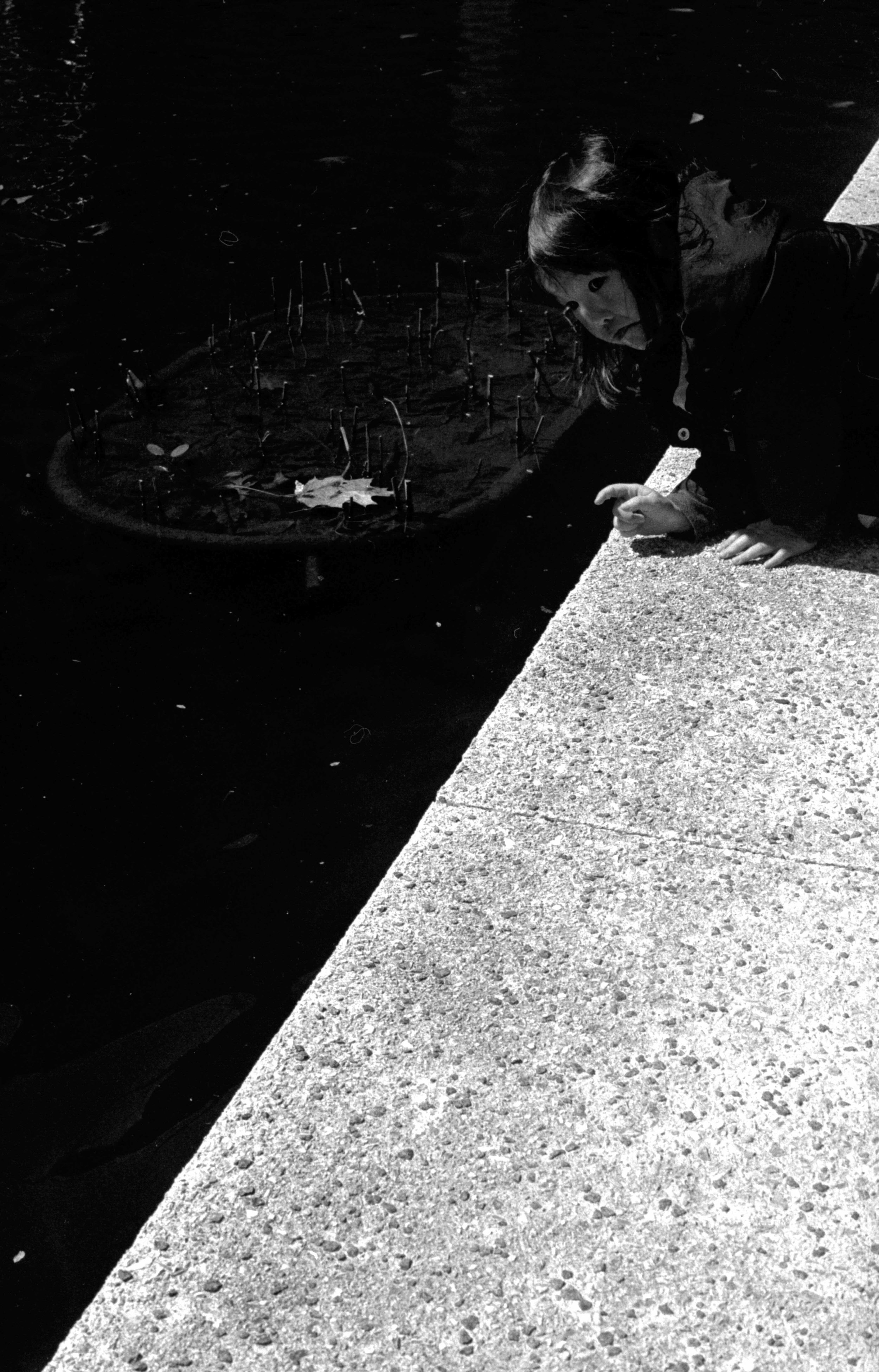 Arboreteum 2 Washington, D.C.