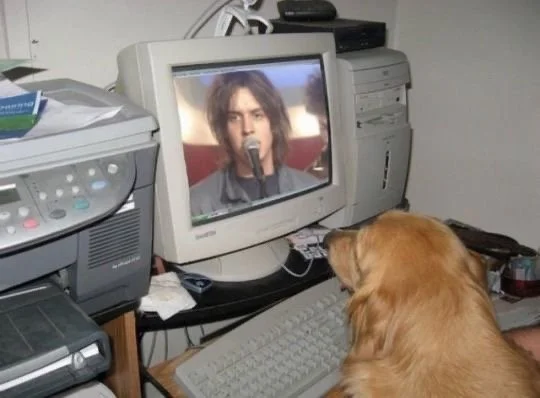 i have a pair of converse