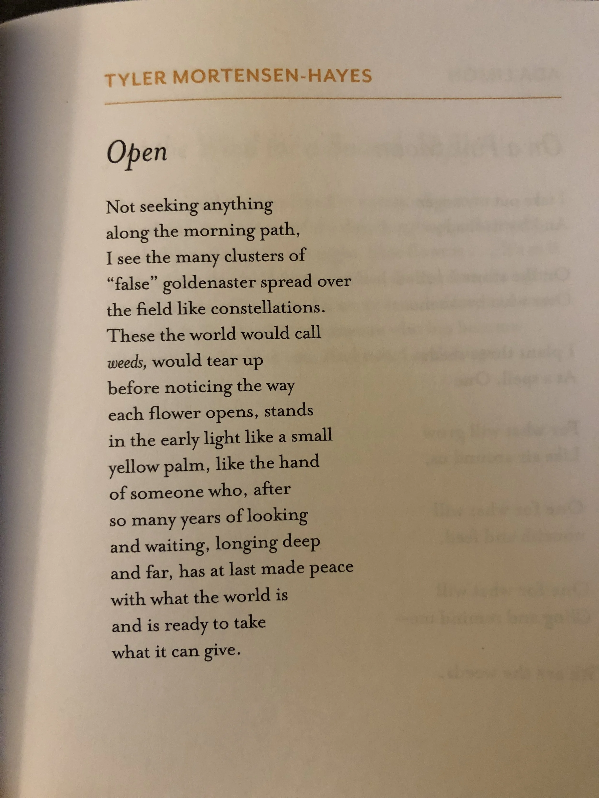 (Published in Love is for All of Us: Poems of Tenderness & Belonging, edited by James Crews & Brad Peacock)