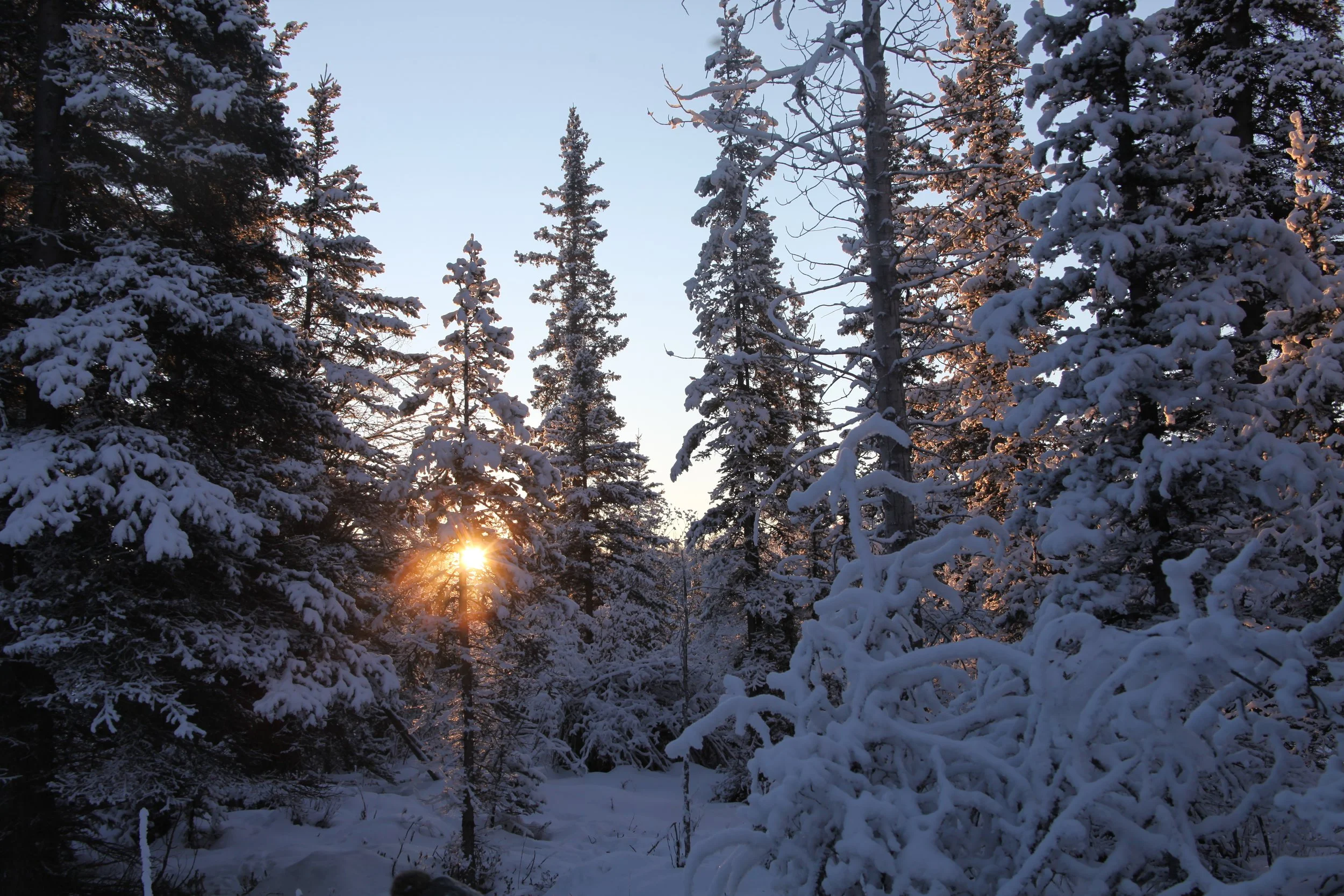 Where the Road Ends and Cold Begins