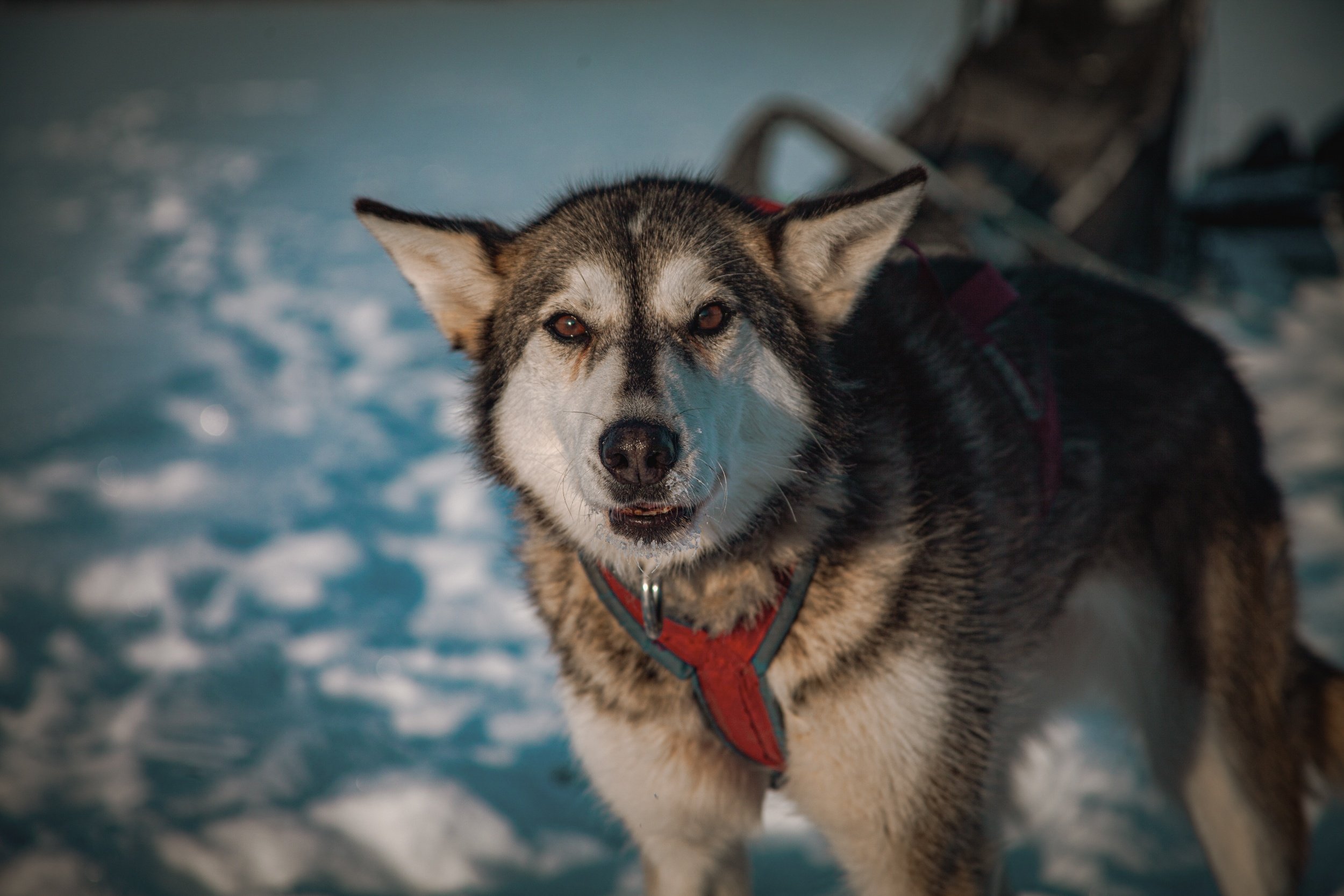 processed__MG_0385 (2).jpg