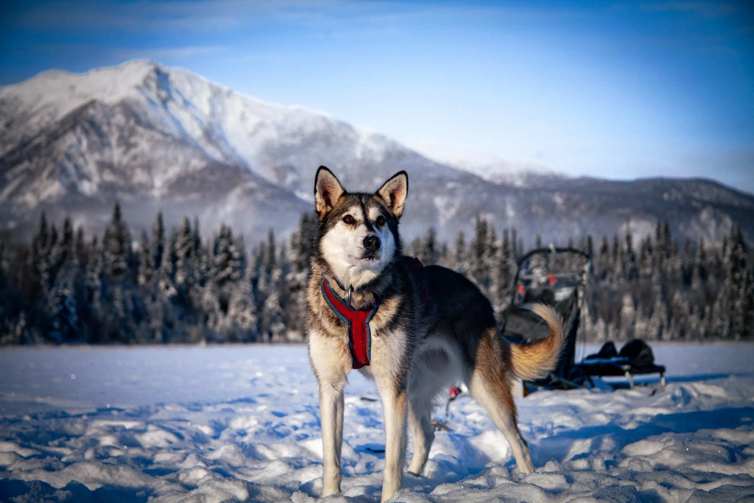 processed__MG_0381 (2).jpg