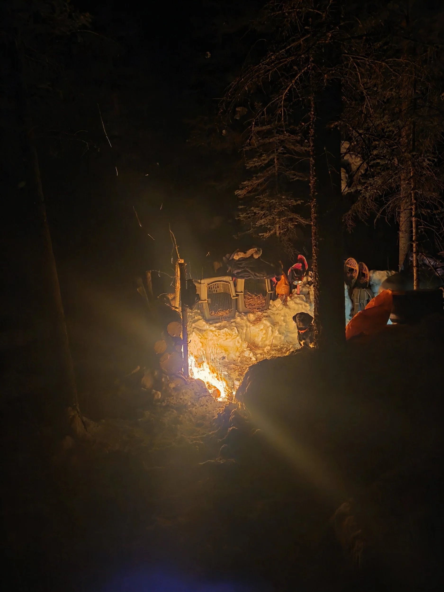 Sleeping Under the Stars with Cabin Comforts 