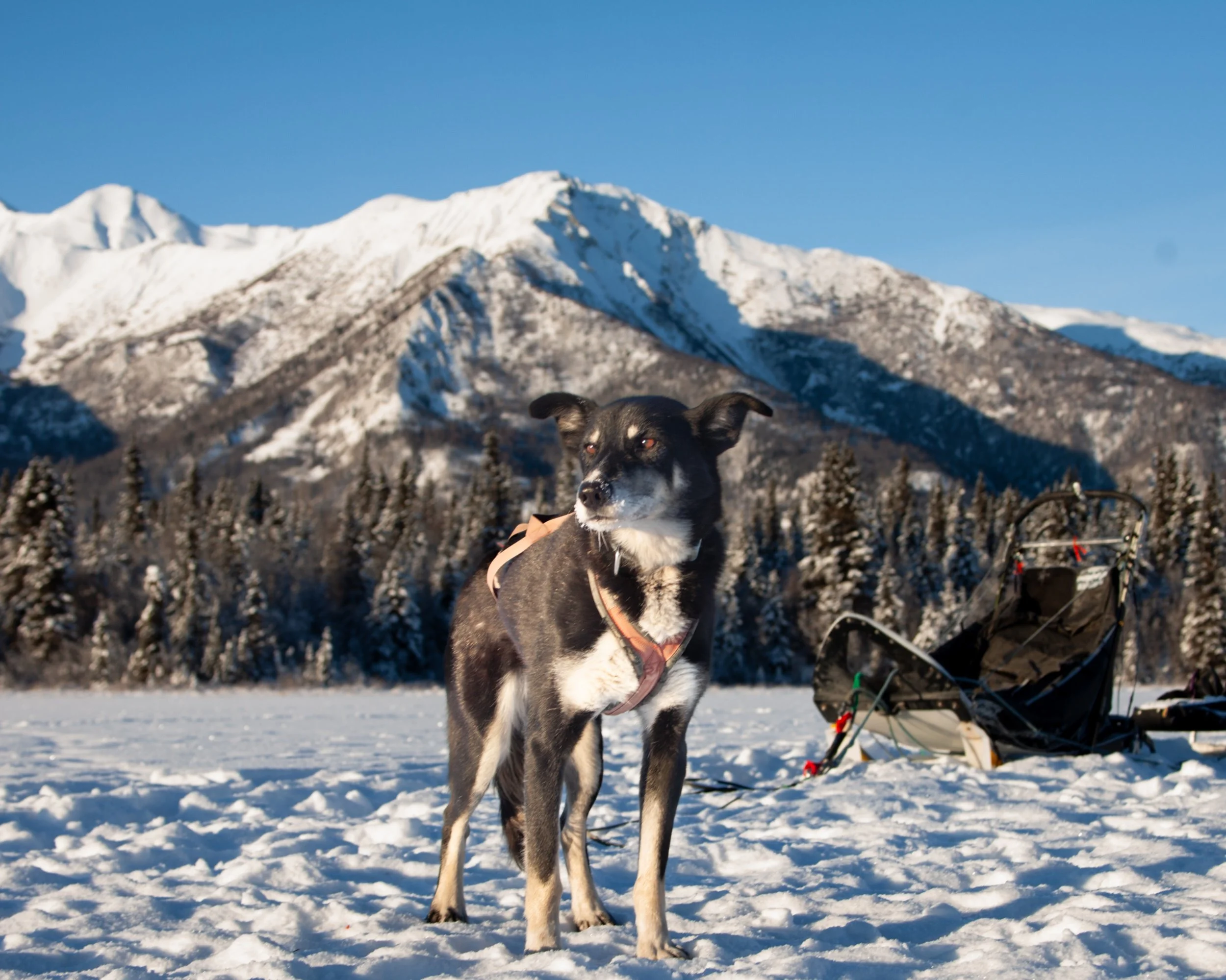 processed__MG_0940 (1).jpg