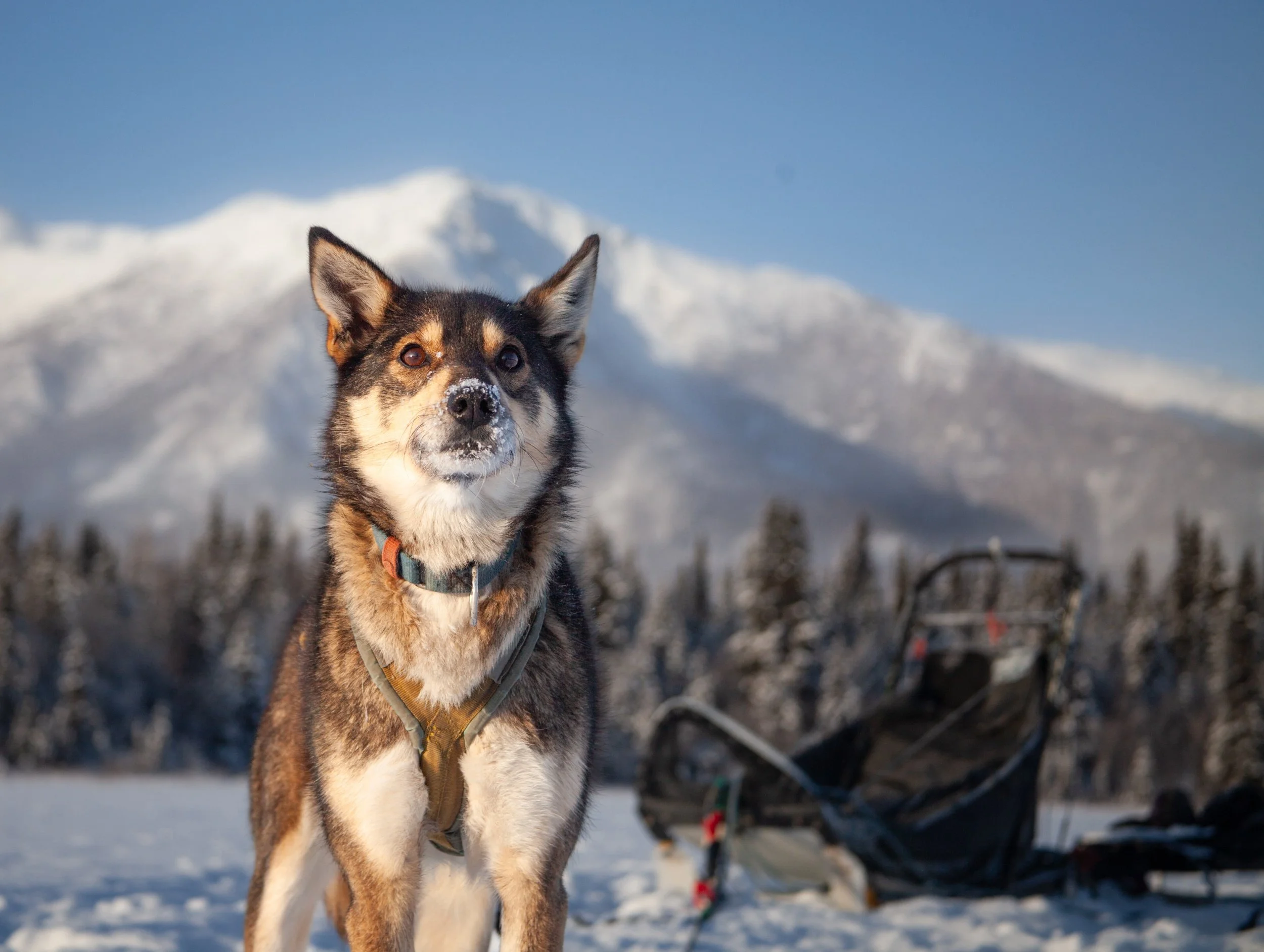 processed__MG_0845 (1).jpg