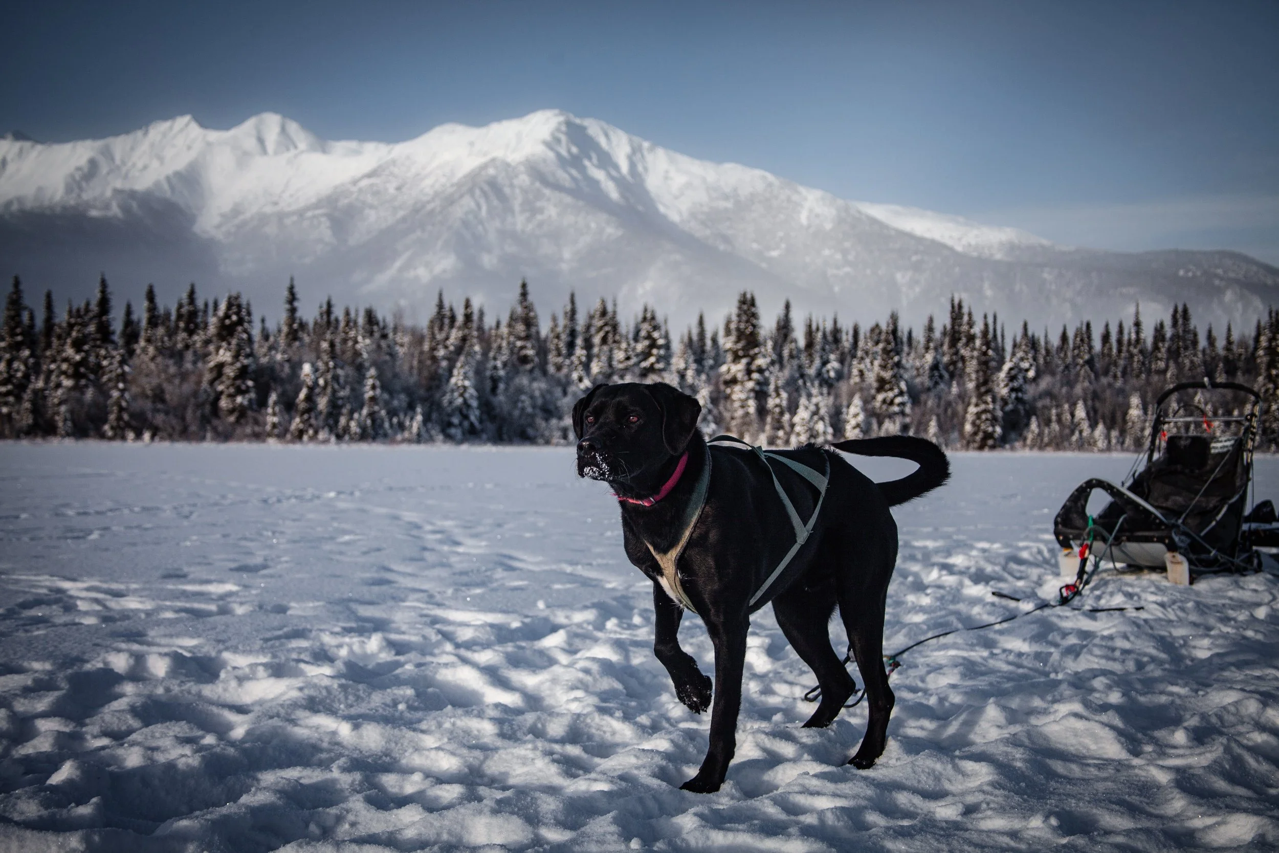 processed__MG_0754 (1).jpg