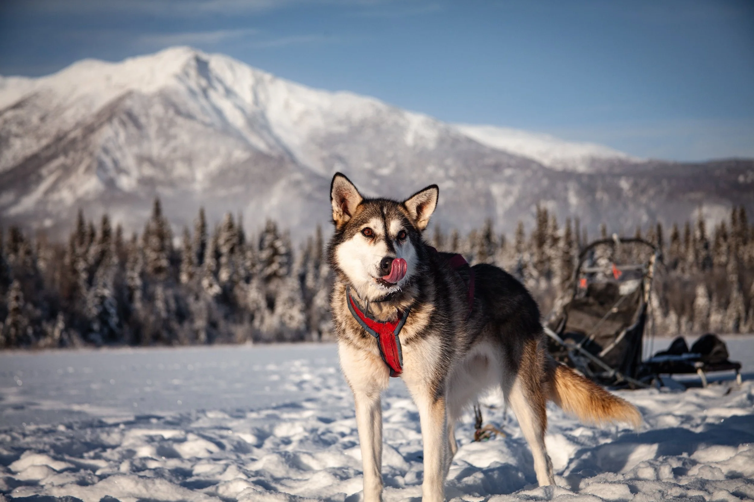 processed__MG_0373 (1).jpg