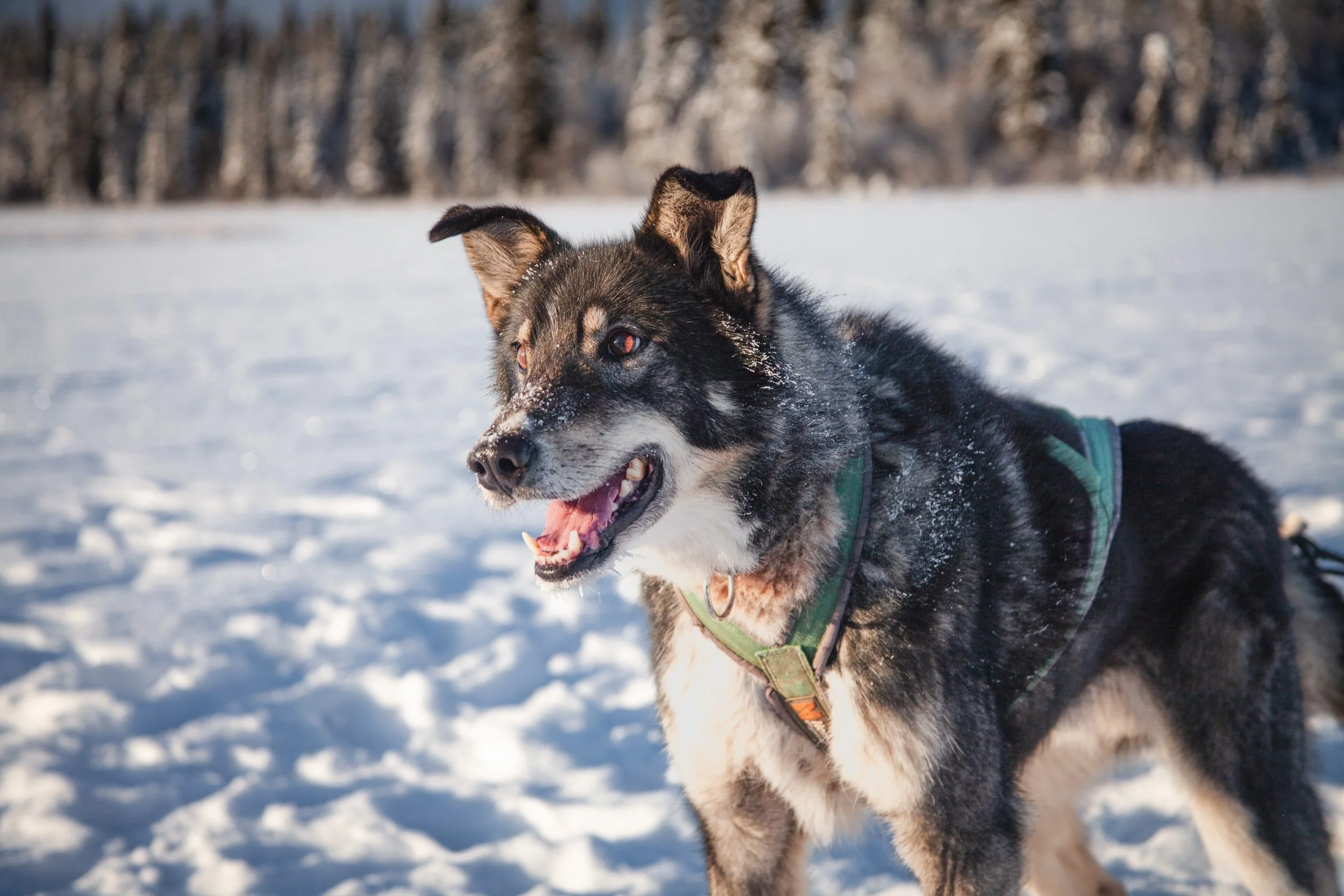 processed__MG_0878 (1).jpg