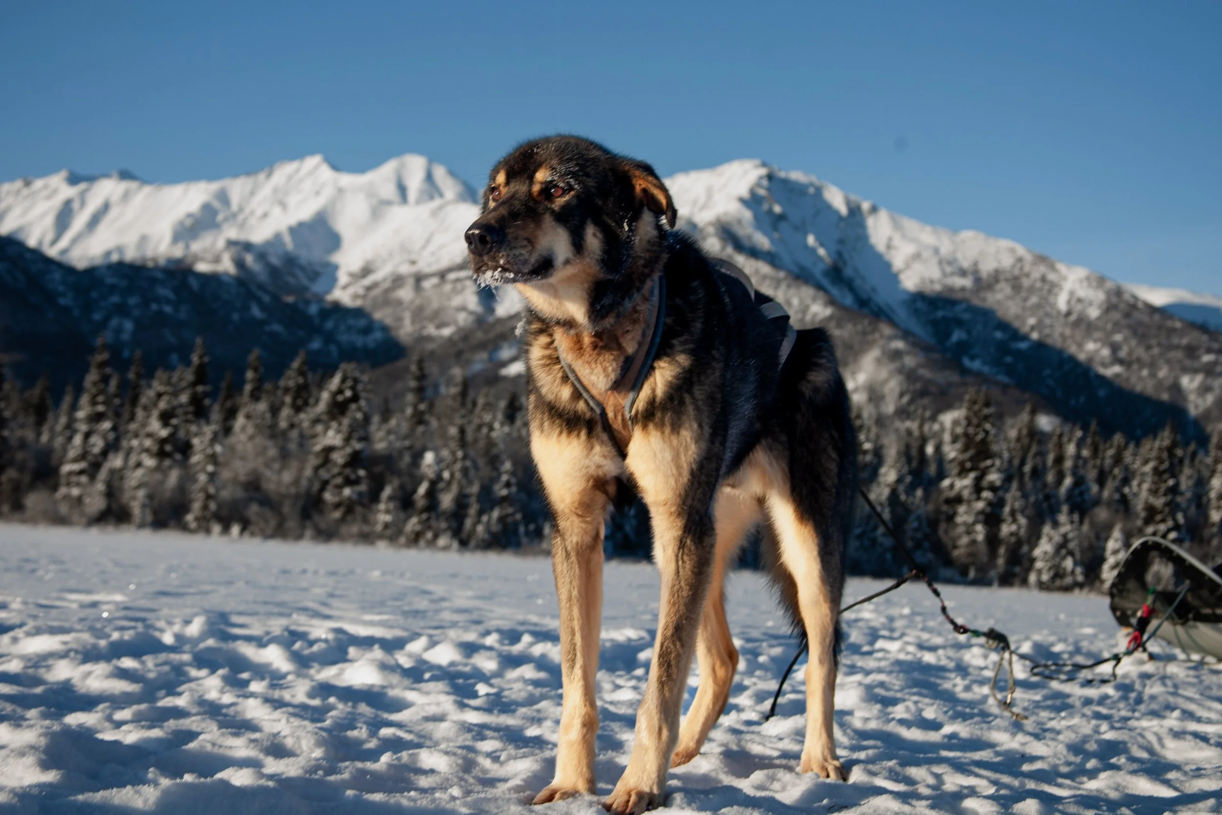 processed__MG_0948 (1).jpg