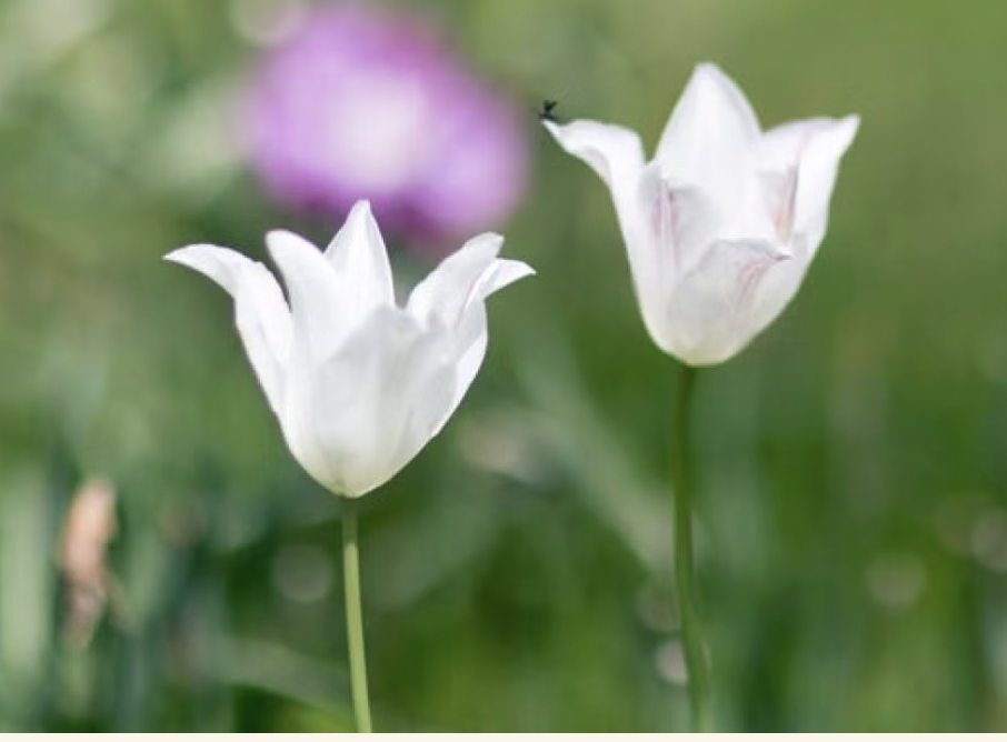 New Retreat at Kripalu  Somatic Breathwork to Fuel Your Creative Spirit