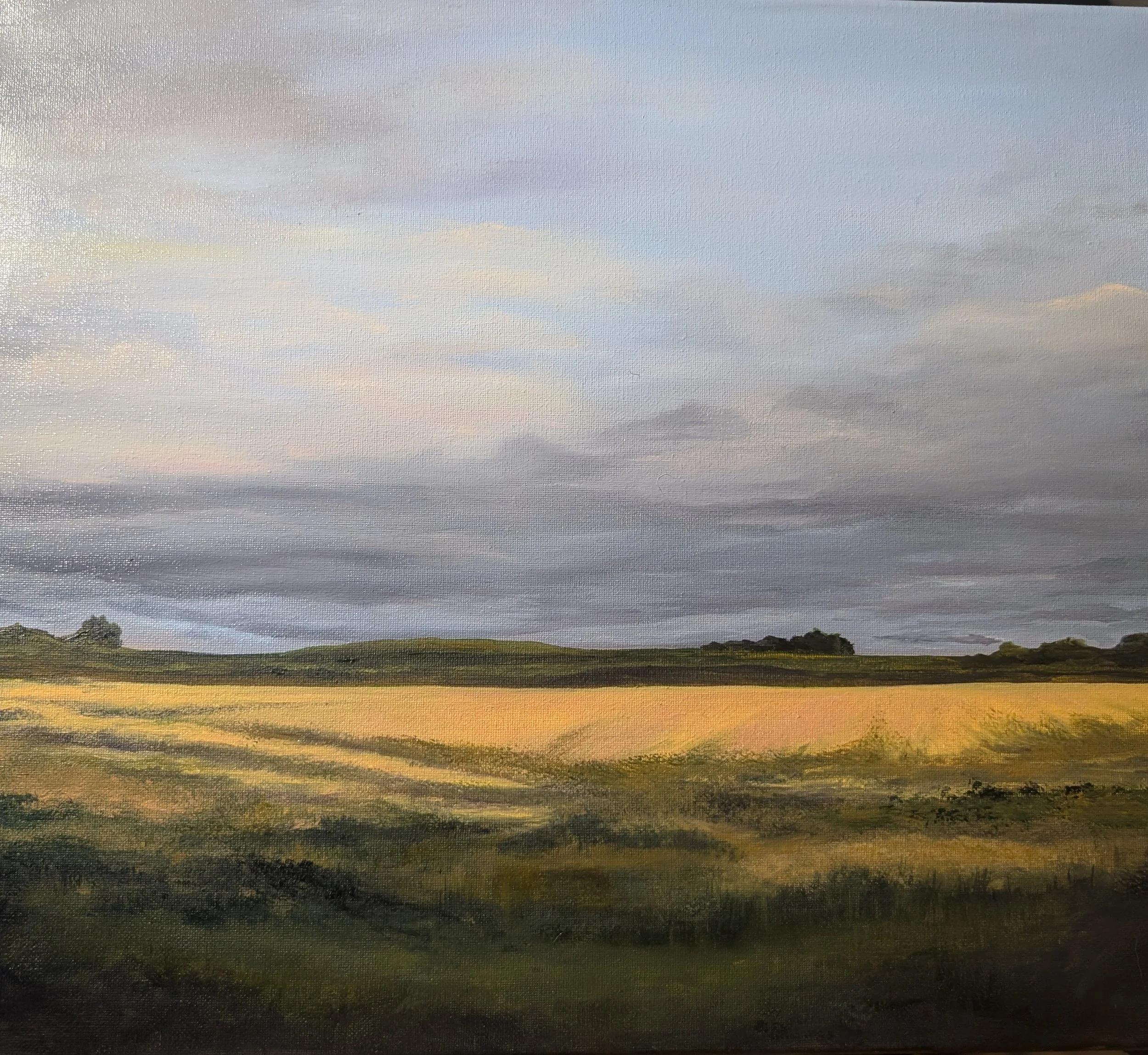 Autumn Field (Wells, MN)
16"x20"
oil on canvas
framed