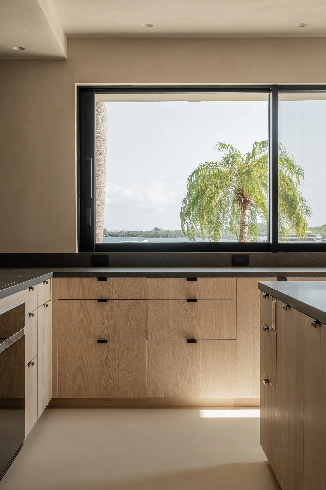 Kitchen with wooden cabinets, black countertops, and a large window showing a palm tree and water outside.