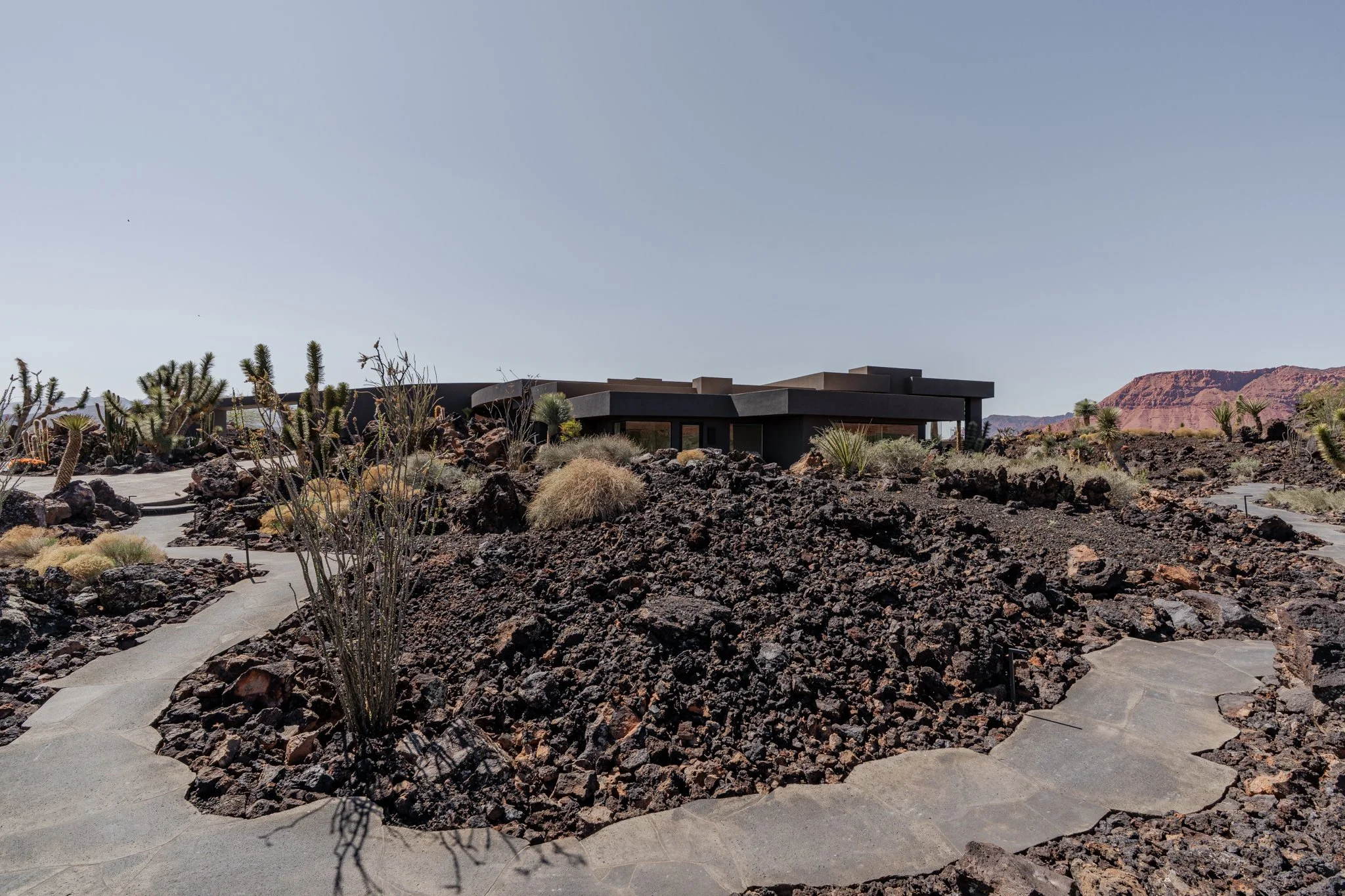 Modern house in desert landscape with cacti, rocks, and pathways under a clear sky.
