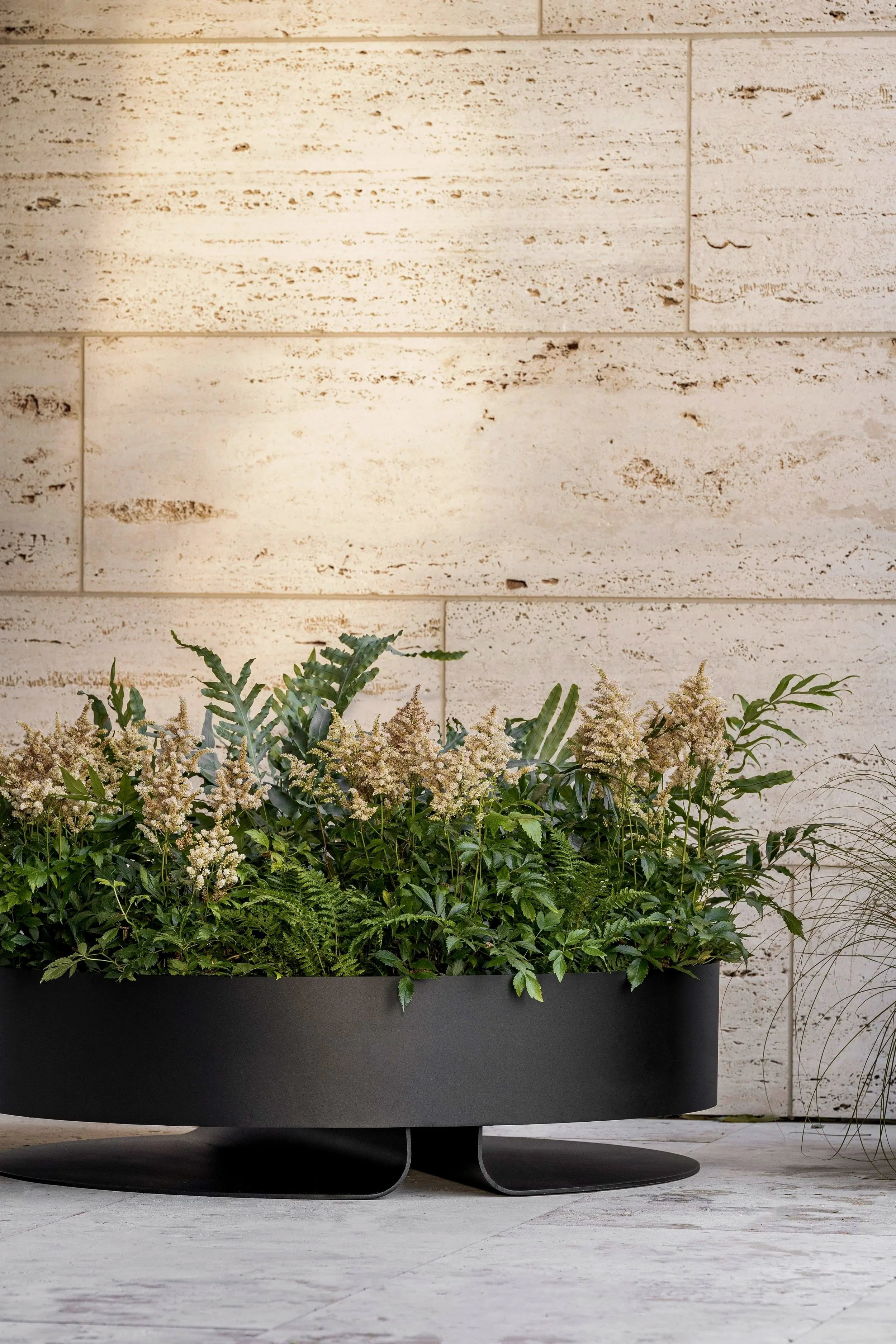 Potted greenery with white flowers in a black container, situated on a tiled floor against a beige stone wall.