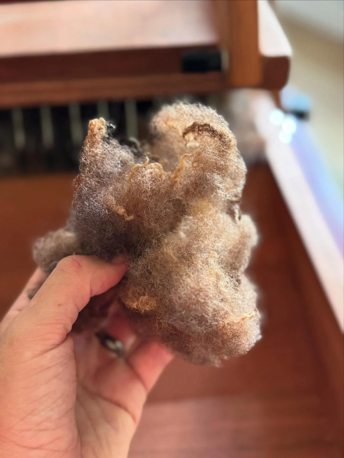 I LOVE how this will cleaned up. Thank you so much @rivercottagefarm for such a beautiful fleece to blend with my alpaca wool.