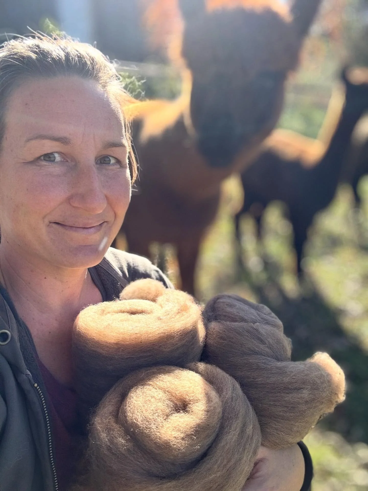 Do I sometimes follow my alpacas around the field with random things in my arms for photos? Yes. How could I not? Peach is my sweetest photobomb girl, daughter of Windy the Psycho Matriarch. I wouldn&rsquo;t have it any other way. #alpaca #alpacalyps