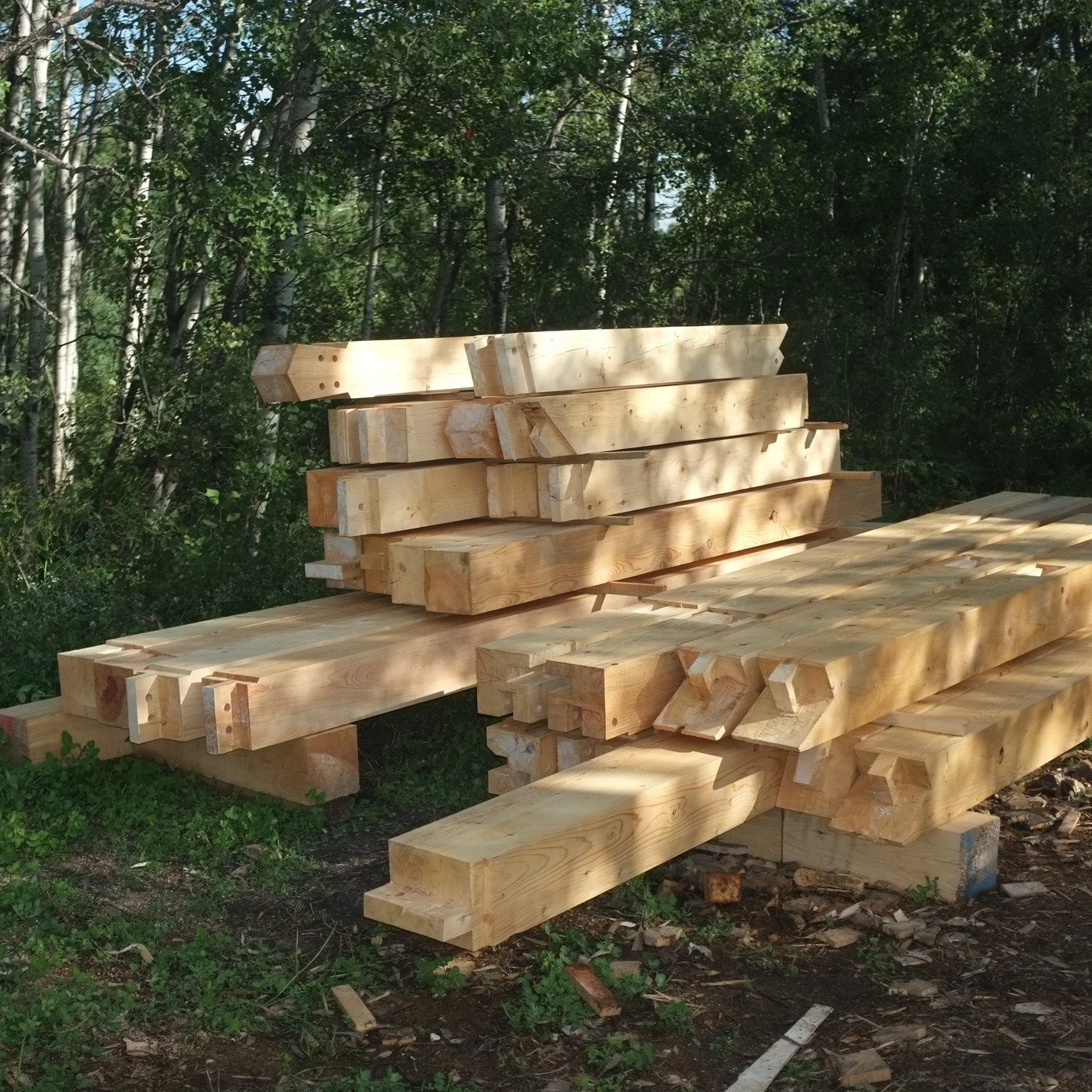 Ready for raising day