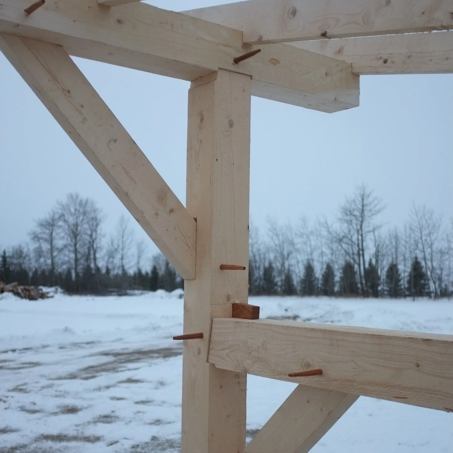 A shot of some of the joinery in my most recent woodshed build. I've begun to offer timber frame design and builds here in central Alberta so get in touch if you have any project ideas. My website is linked in my bio.