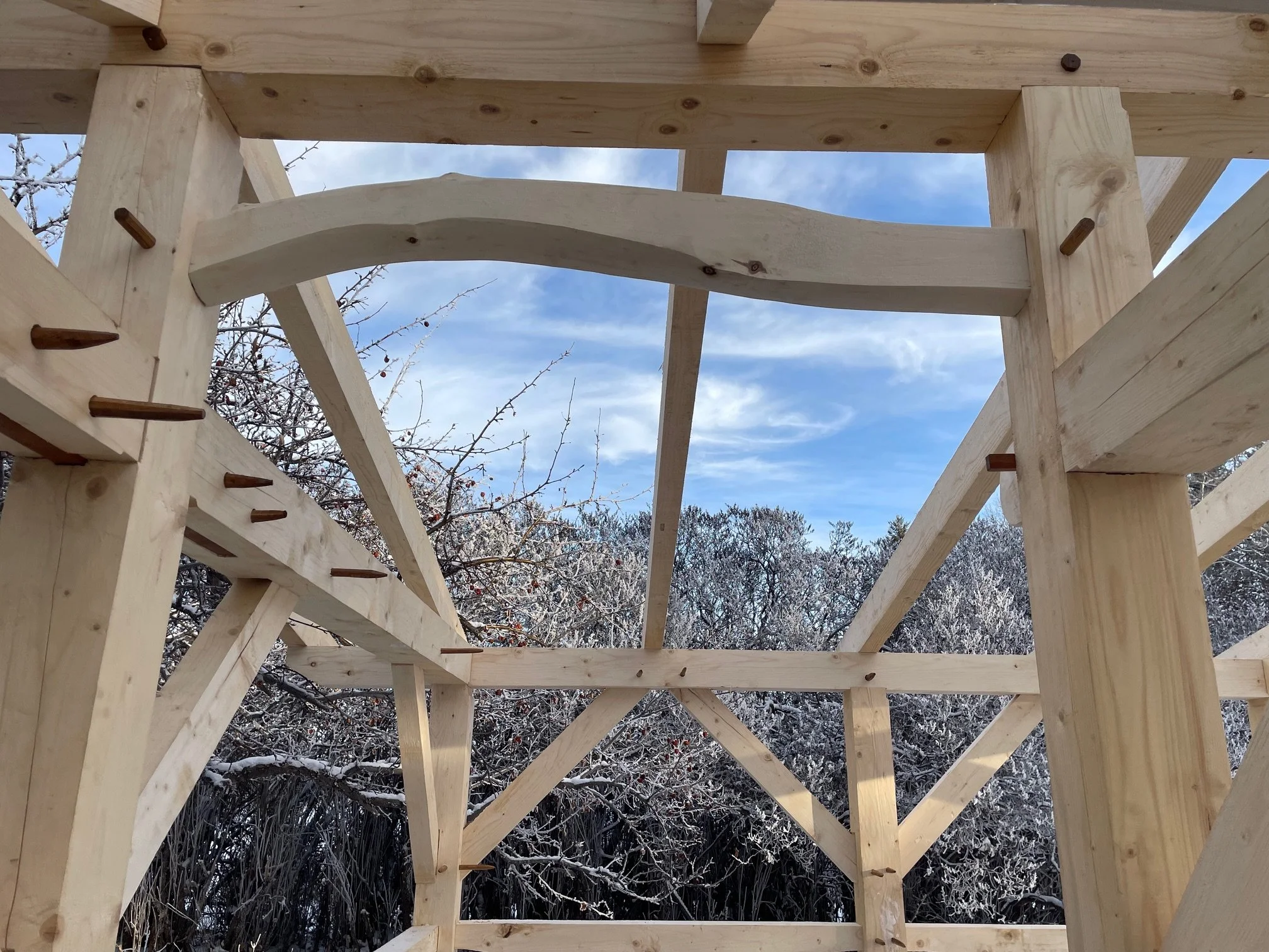 Entranceway detail from a outdoor kitchen frame, 2025. Shed has since been roofed, cladded with siding, and put to use for hosting. (1/3)