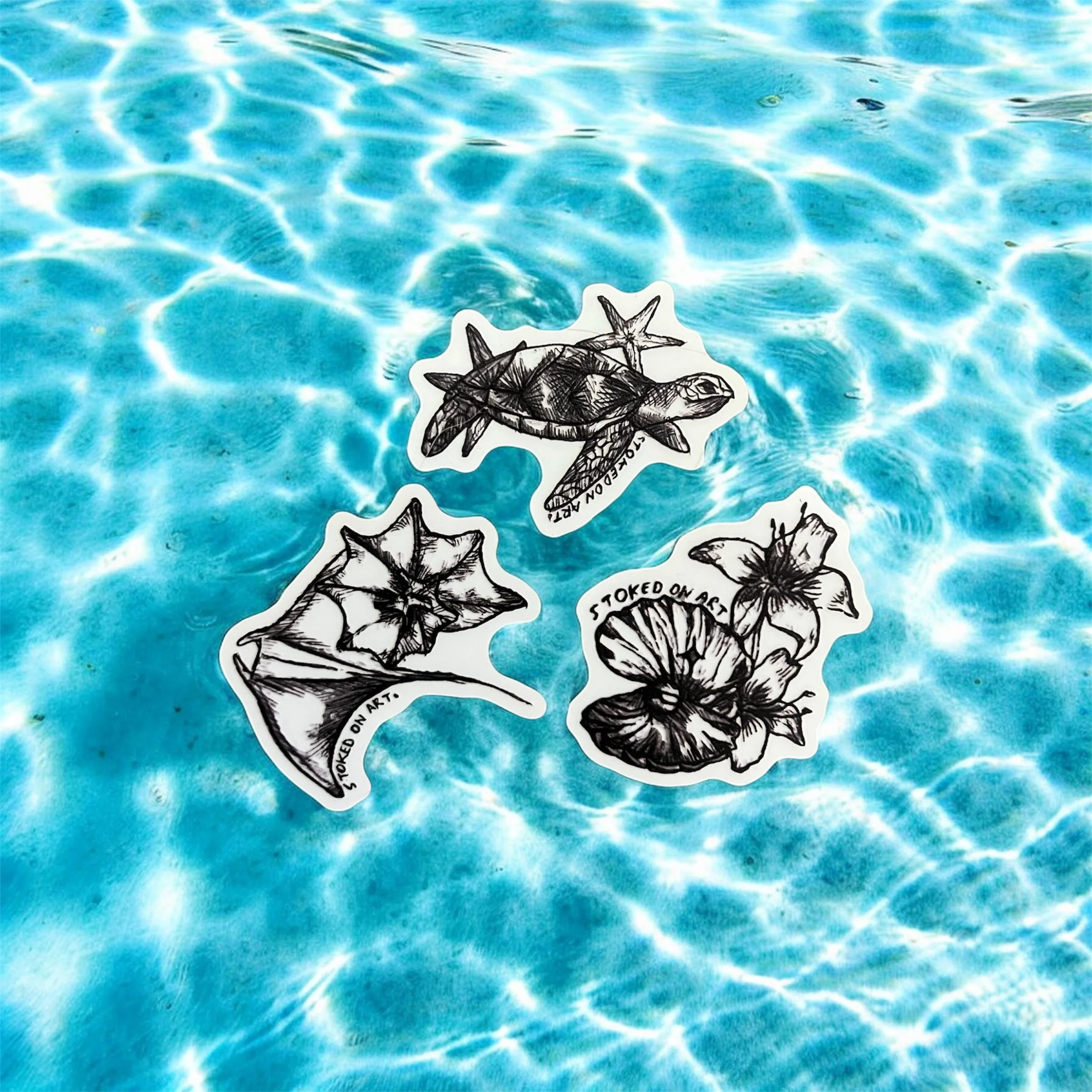 Saltwater Collection