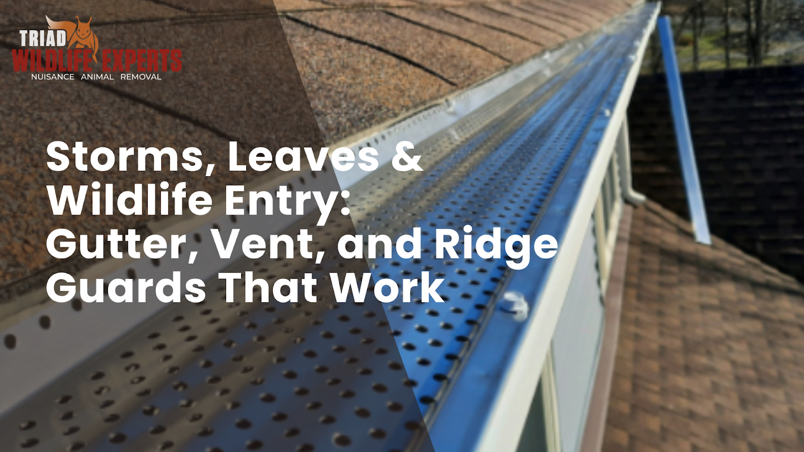 Storms, Leaves &amp; Wildlife Entry: Gutter, Vent, and Ridge Guards That Work