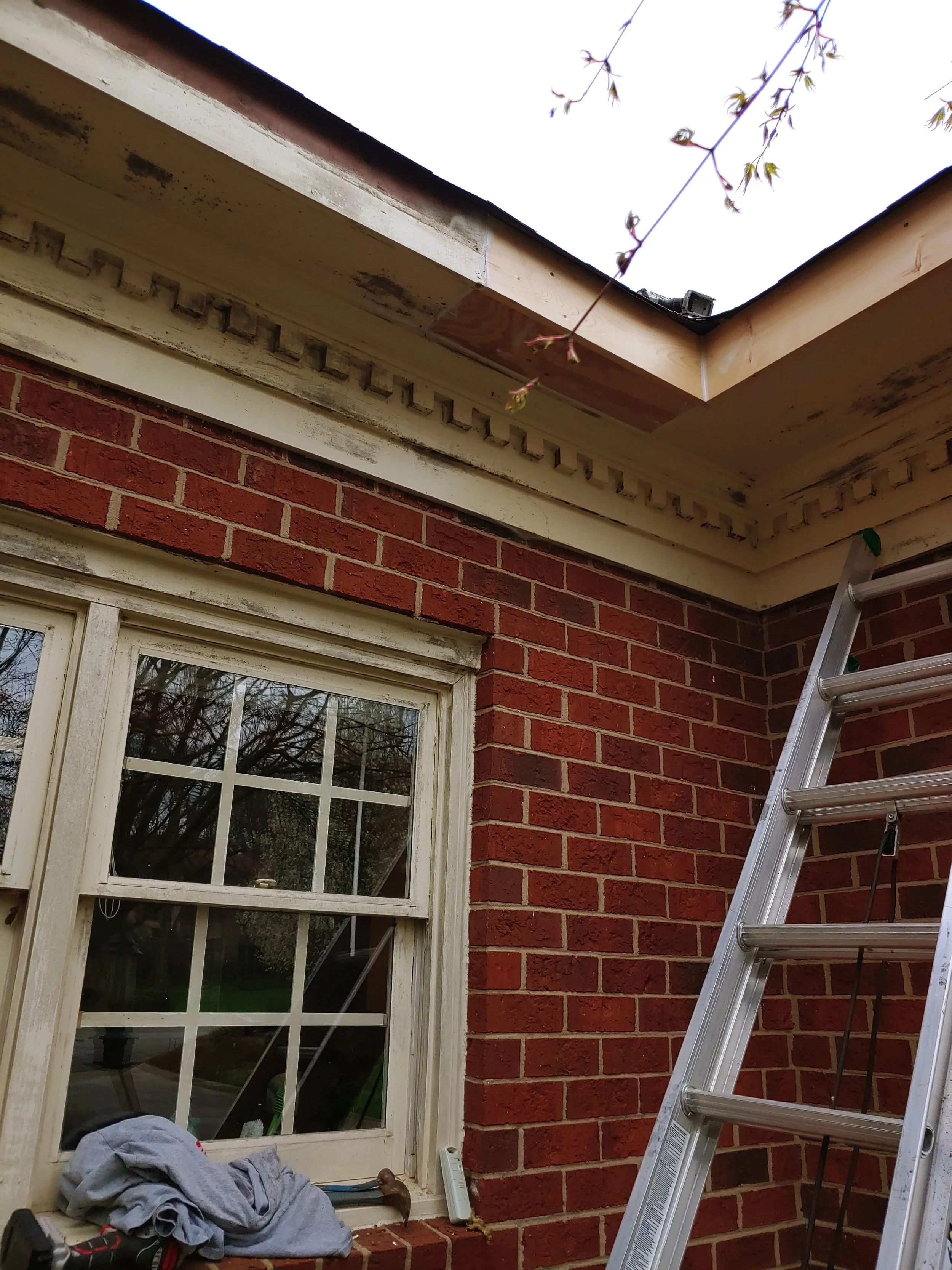 Roofline and soffit inspection for possible bat entry points at a North Carolina home