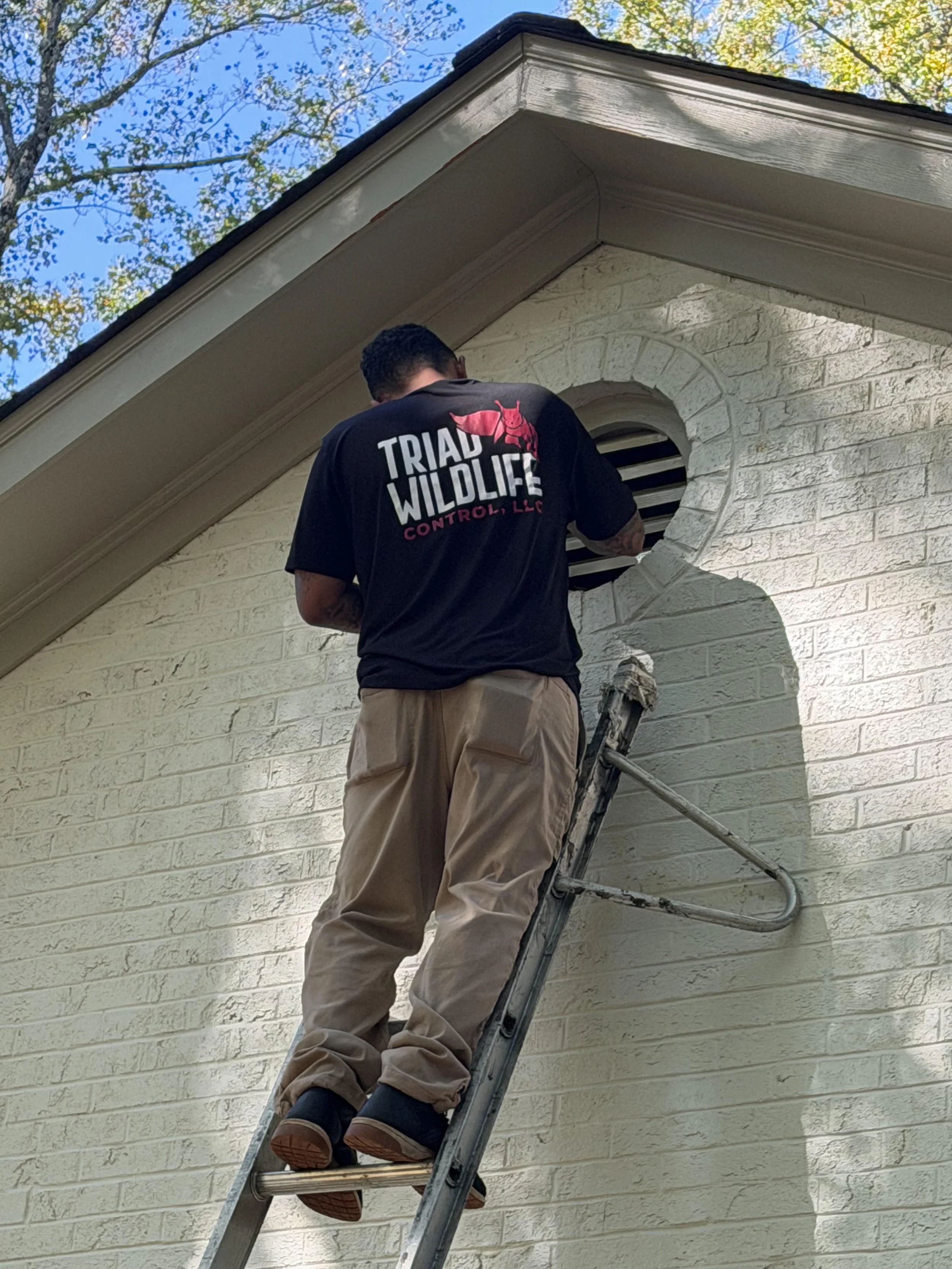 Triad Wildlife Experts technician performing a wildlife inspection around the gable vents where squirrels had chewed in.
