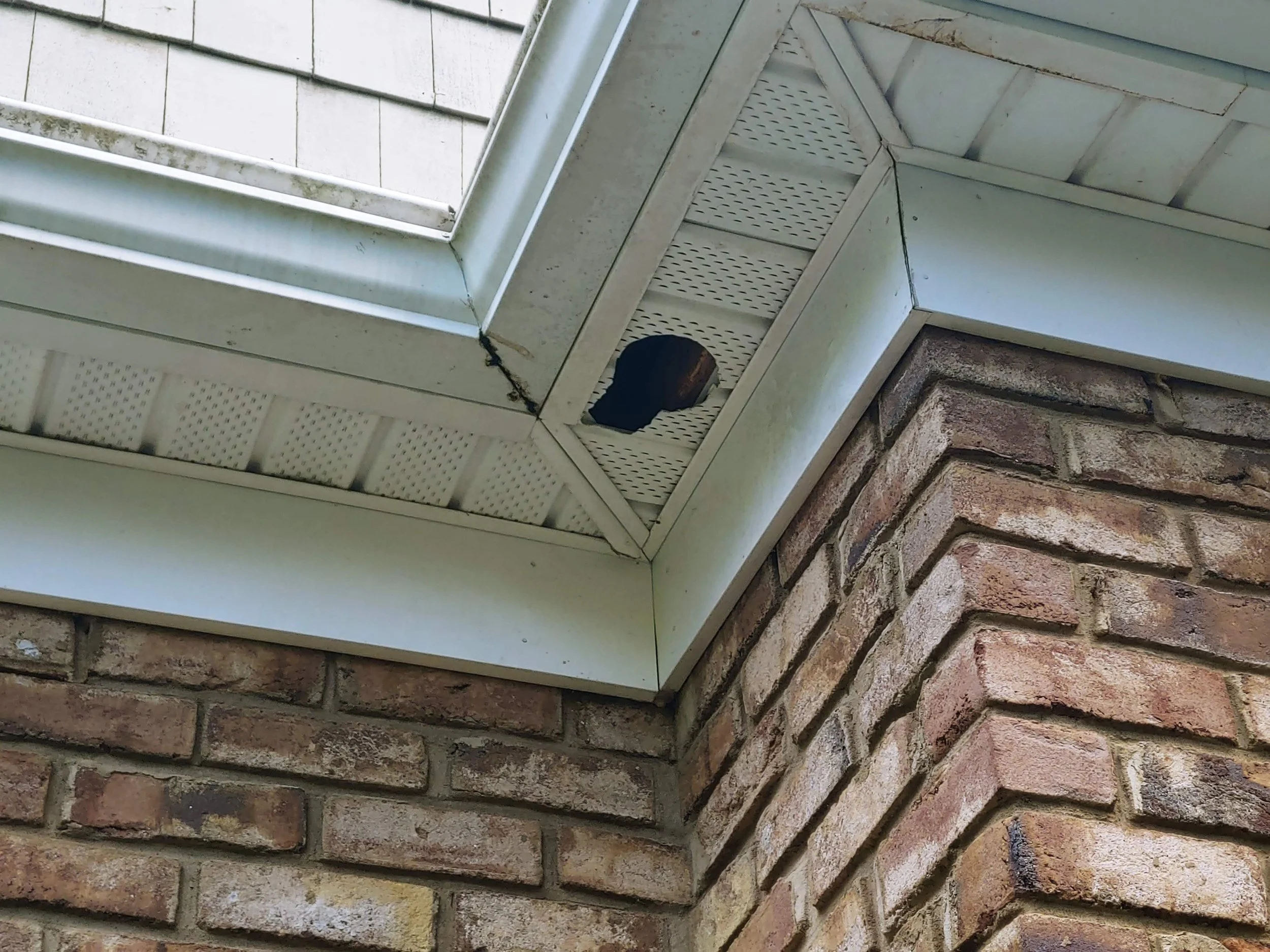Open soffit and roof-return gap that could allow bats or other wildlife into an attic