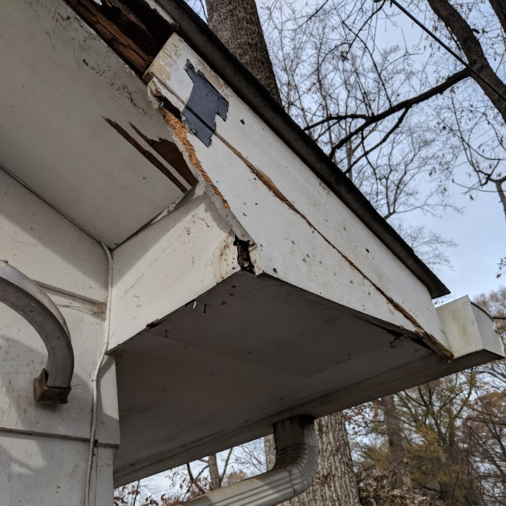 Damaged soffit and fascia that may allow wildlife into a Triad-area attic