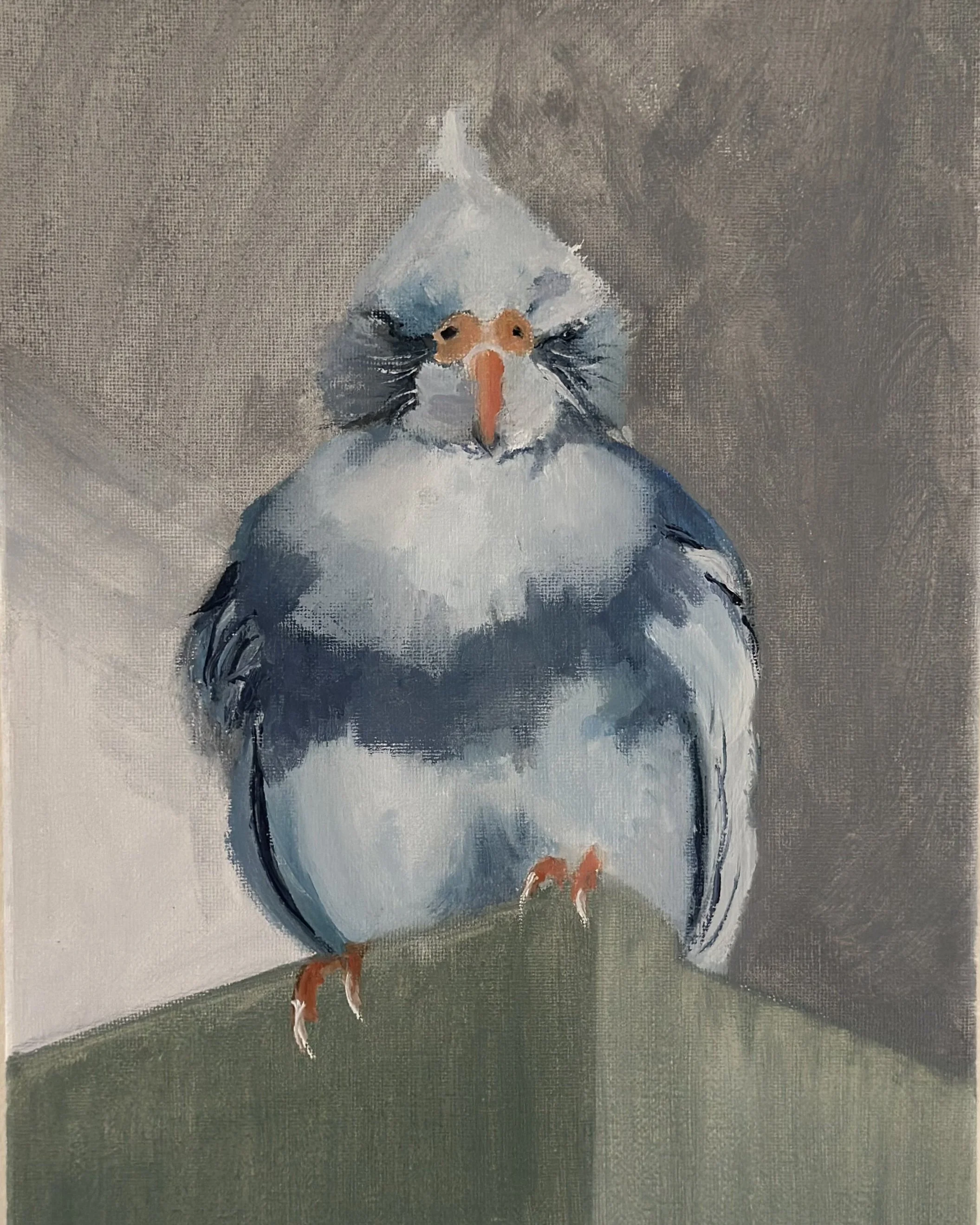Moon the birb