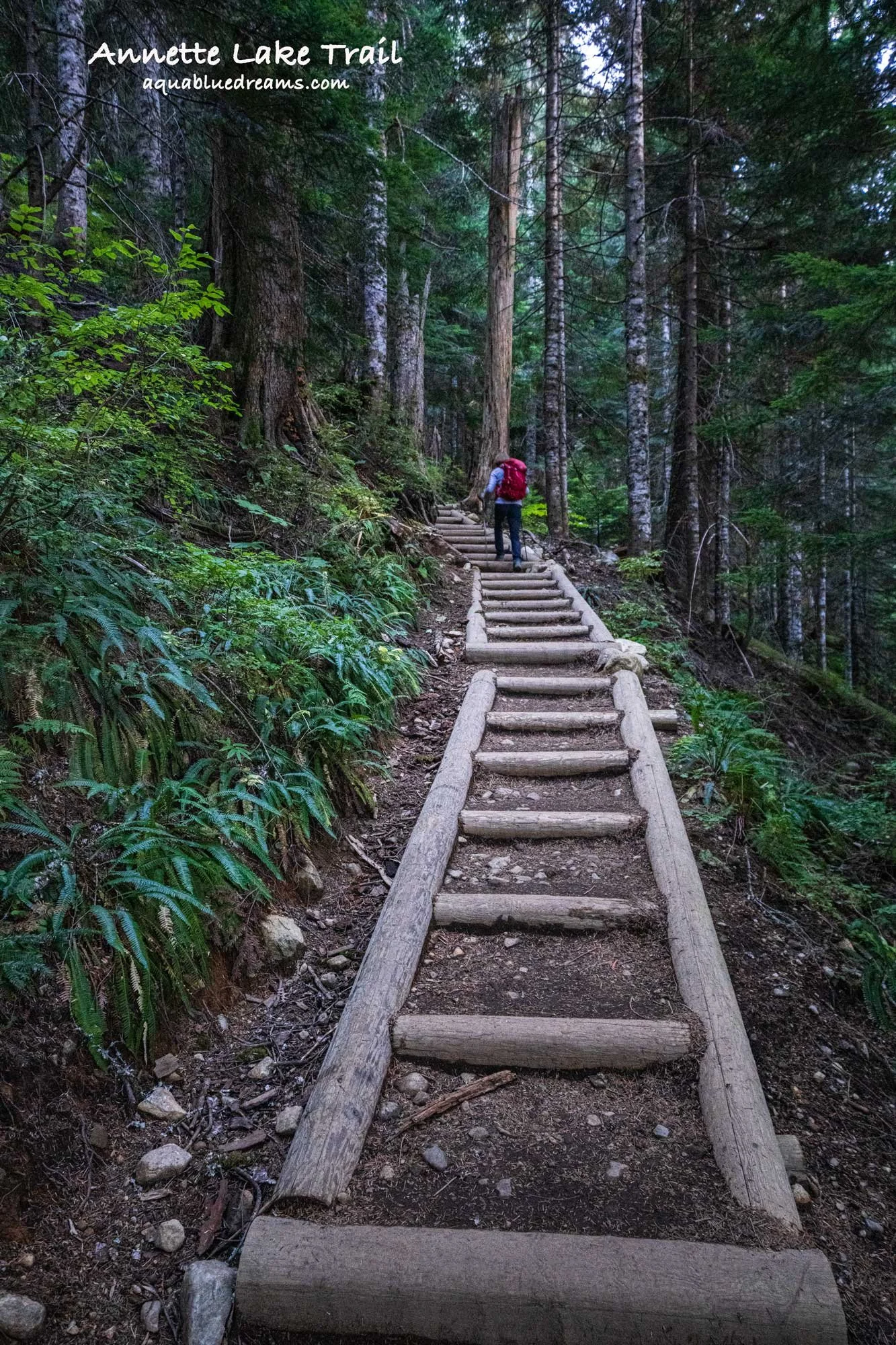 Annettelakestairs.jpg