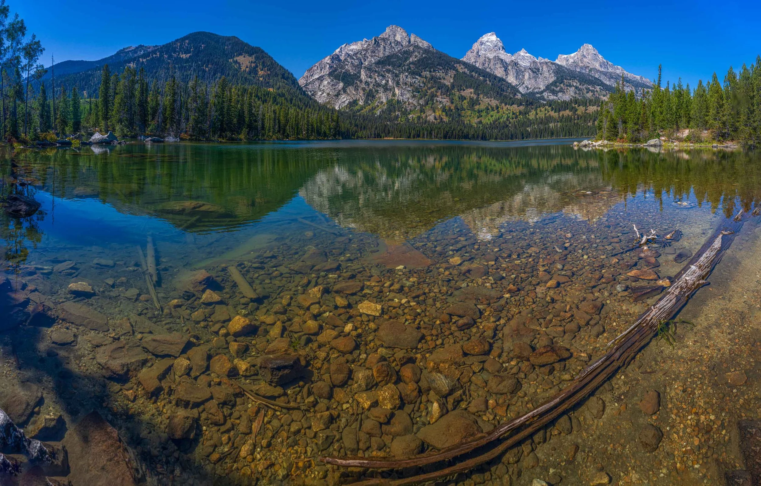 TaggartLakeAfternoon.jpg