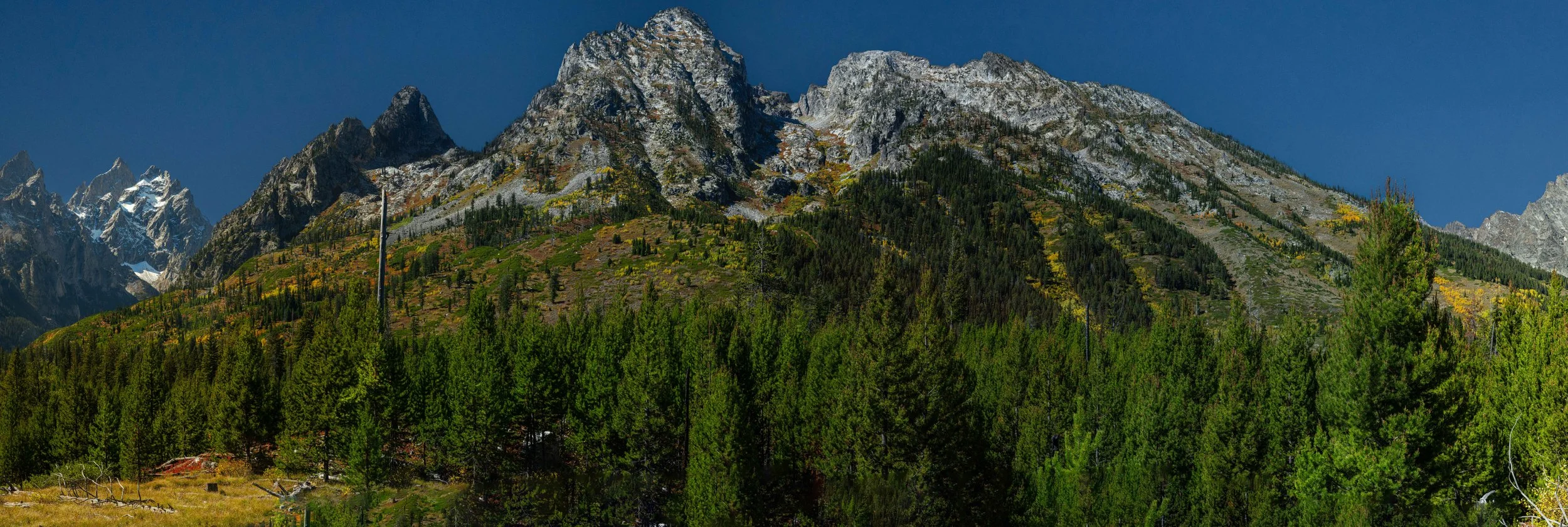 JenyPano9.jpg