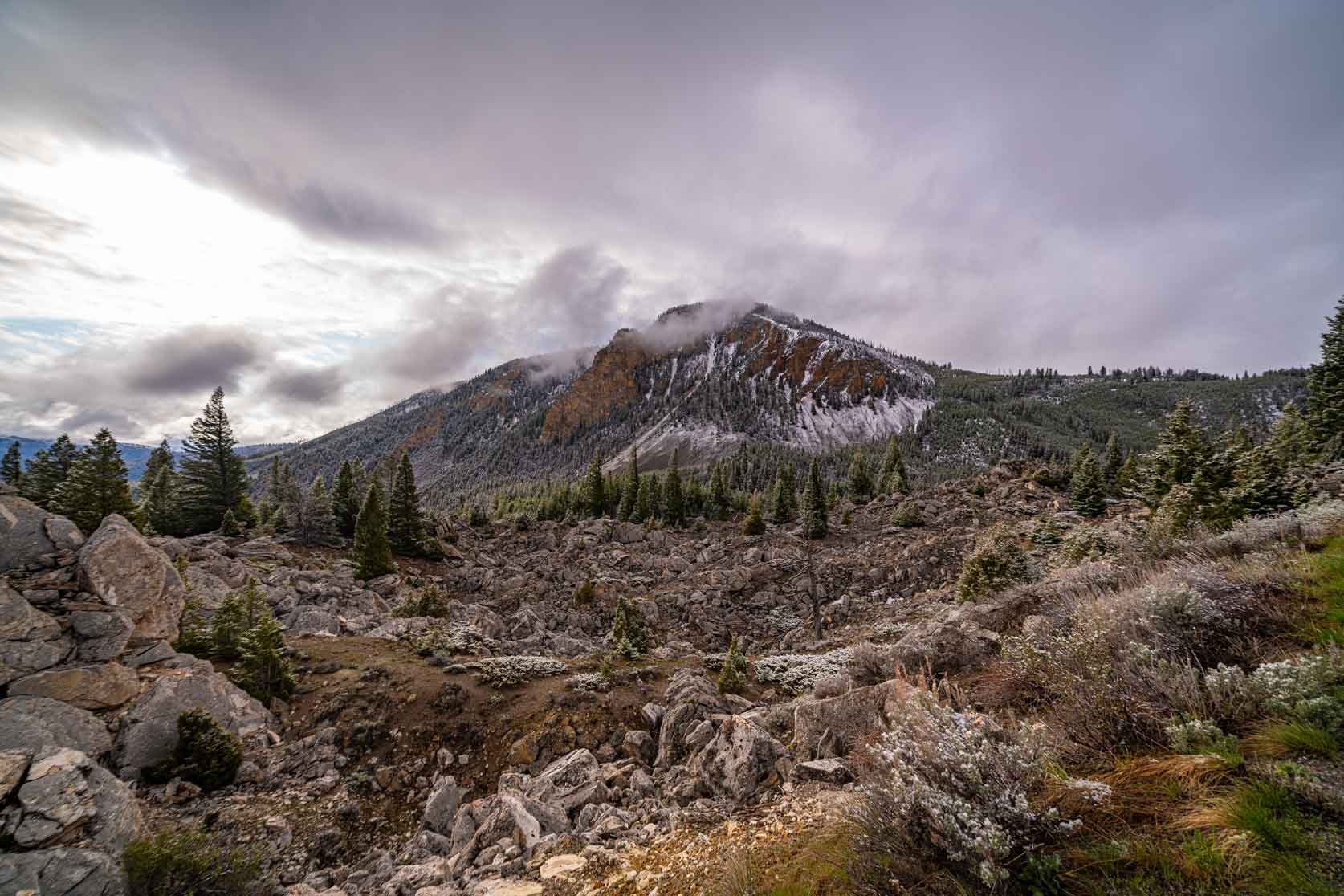 Landscape7.jpg