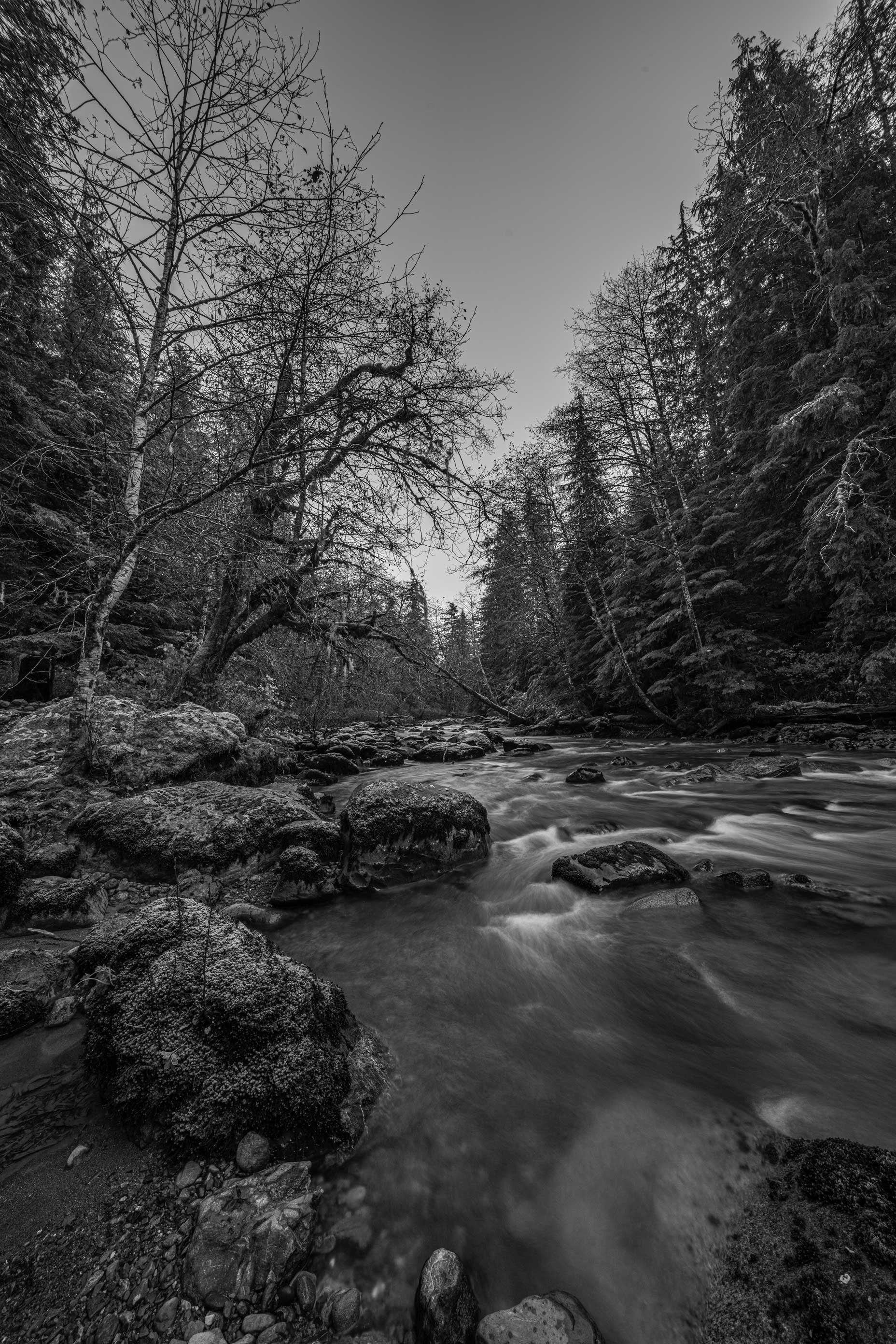 DSC09606-copy.jpg
