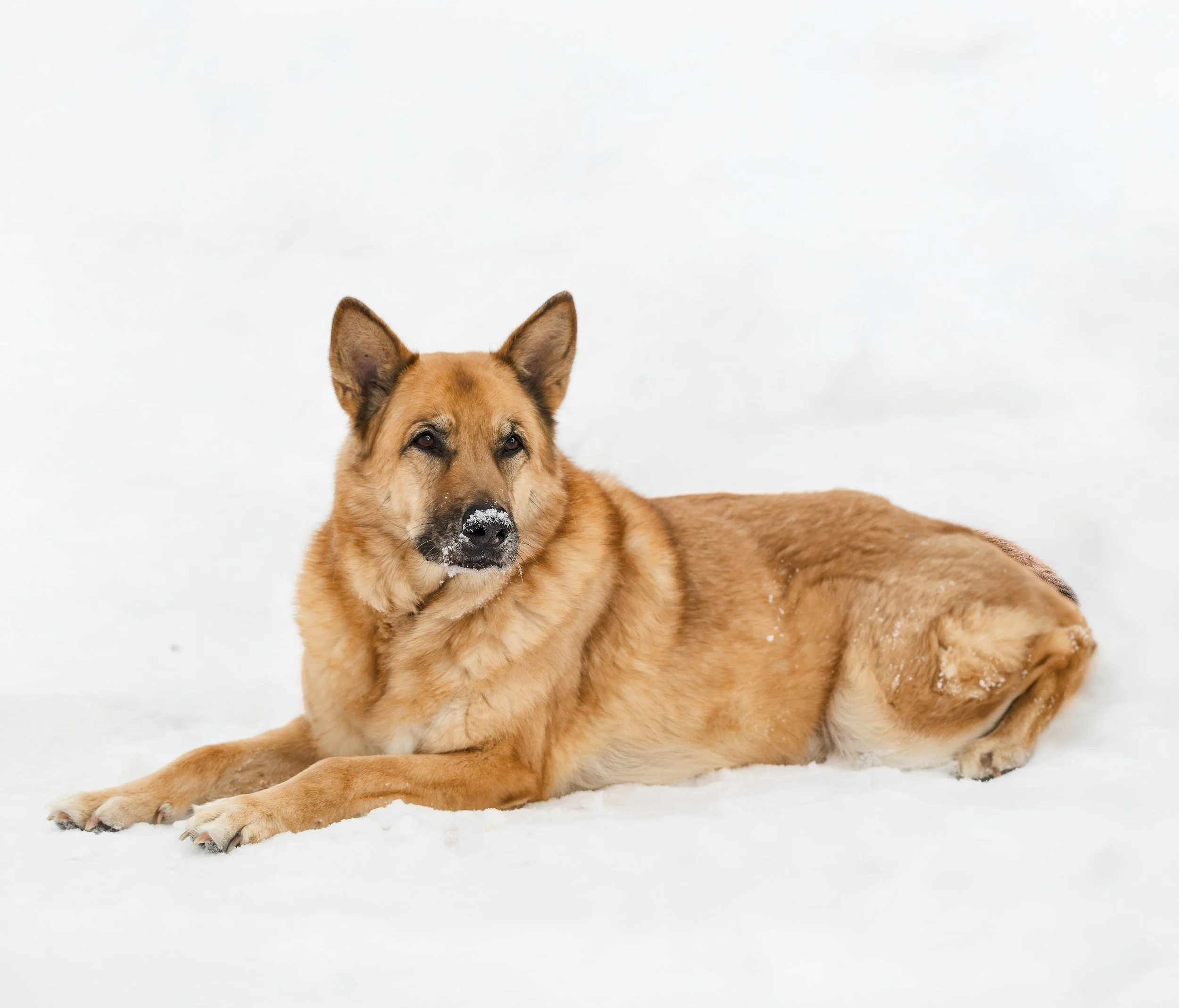 250219-BruceHunter-294.jpg