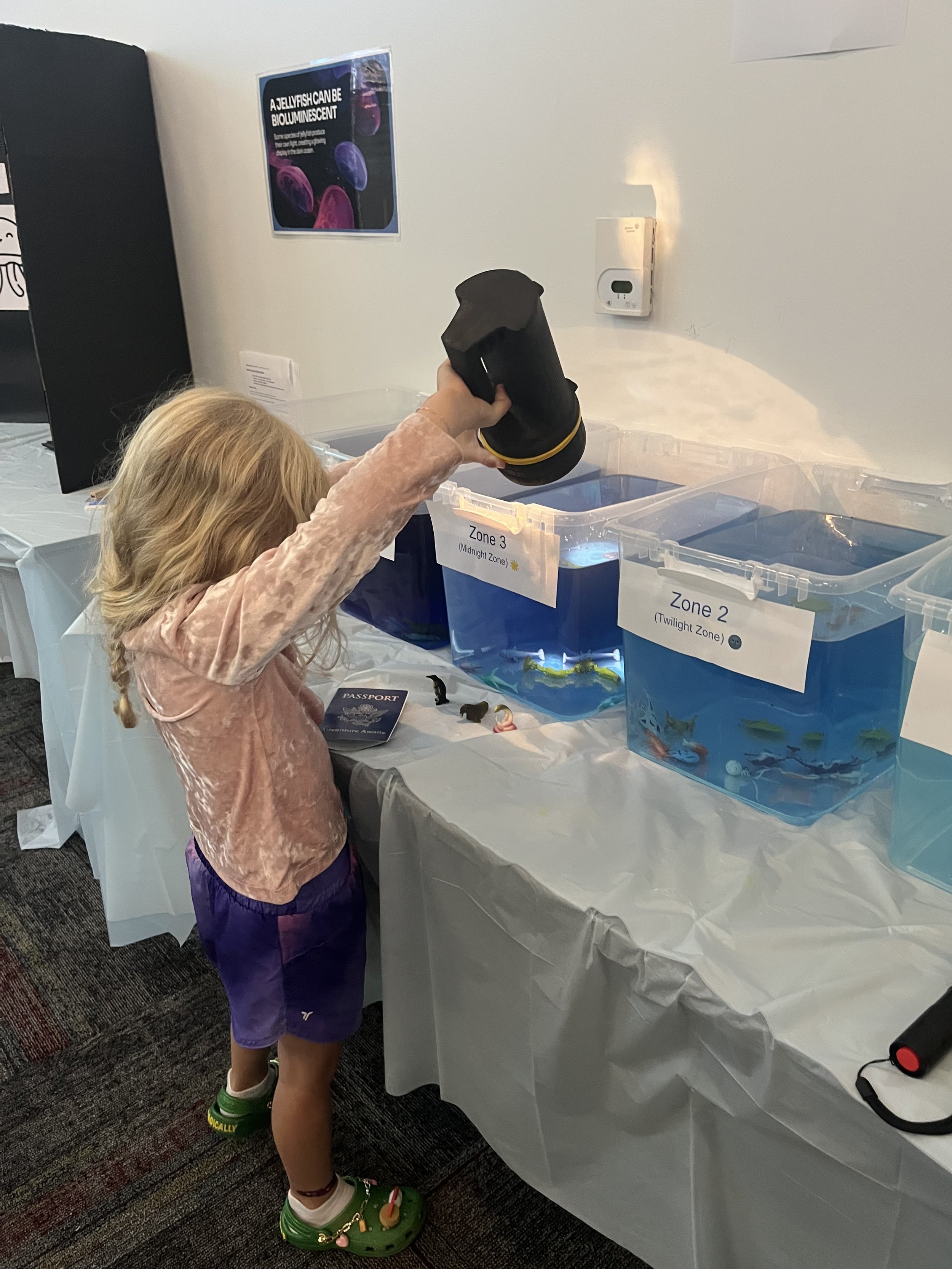 Searching for sea animals to win a prize