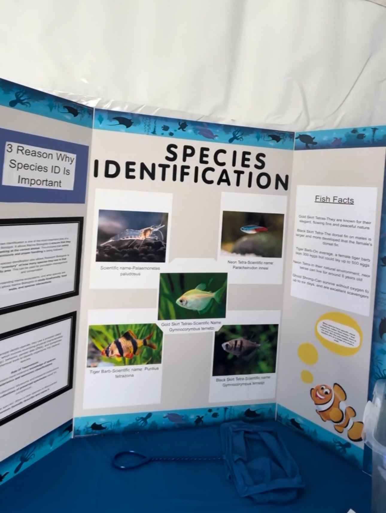 Species Identinfaction poster @ Atlanta Science Festival 2025